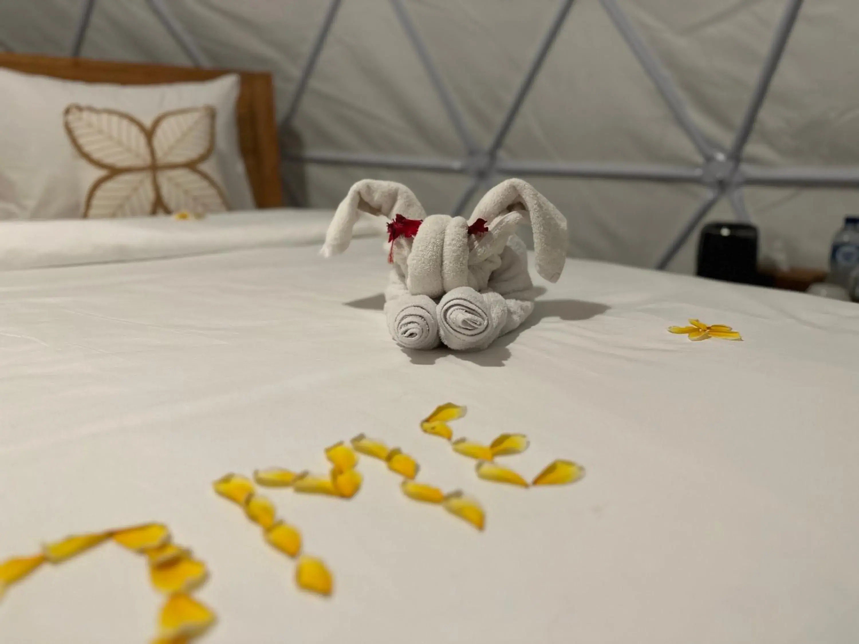 Photo of the whole room, Bed in Glamping @ Pebbles & Fins Photo of the whole room, Bed in Glamping @ Pebbles & Fins