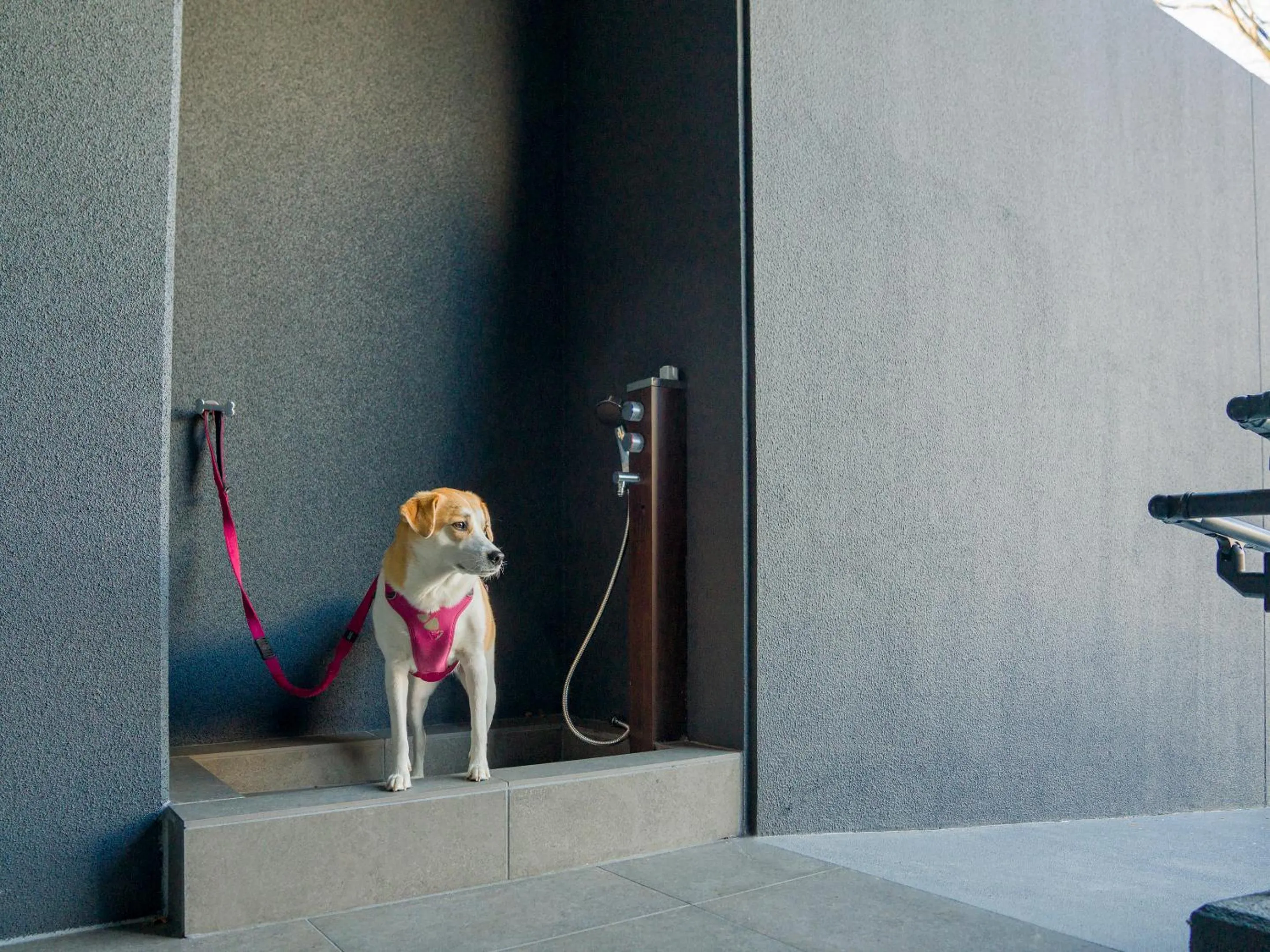 Area and facilities in Rakuten STAY FUJIMI TERRACE Hakone Ashinoko