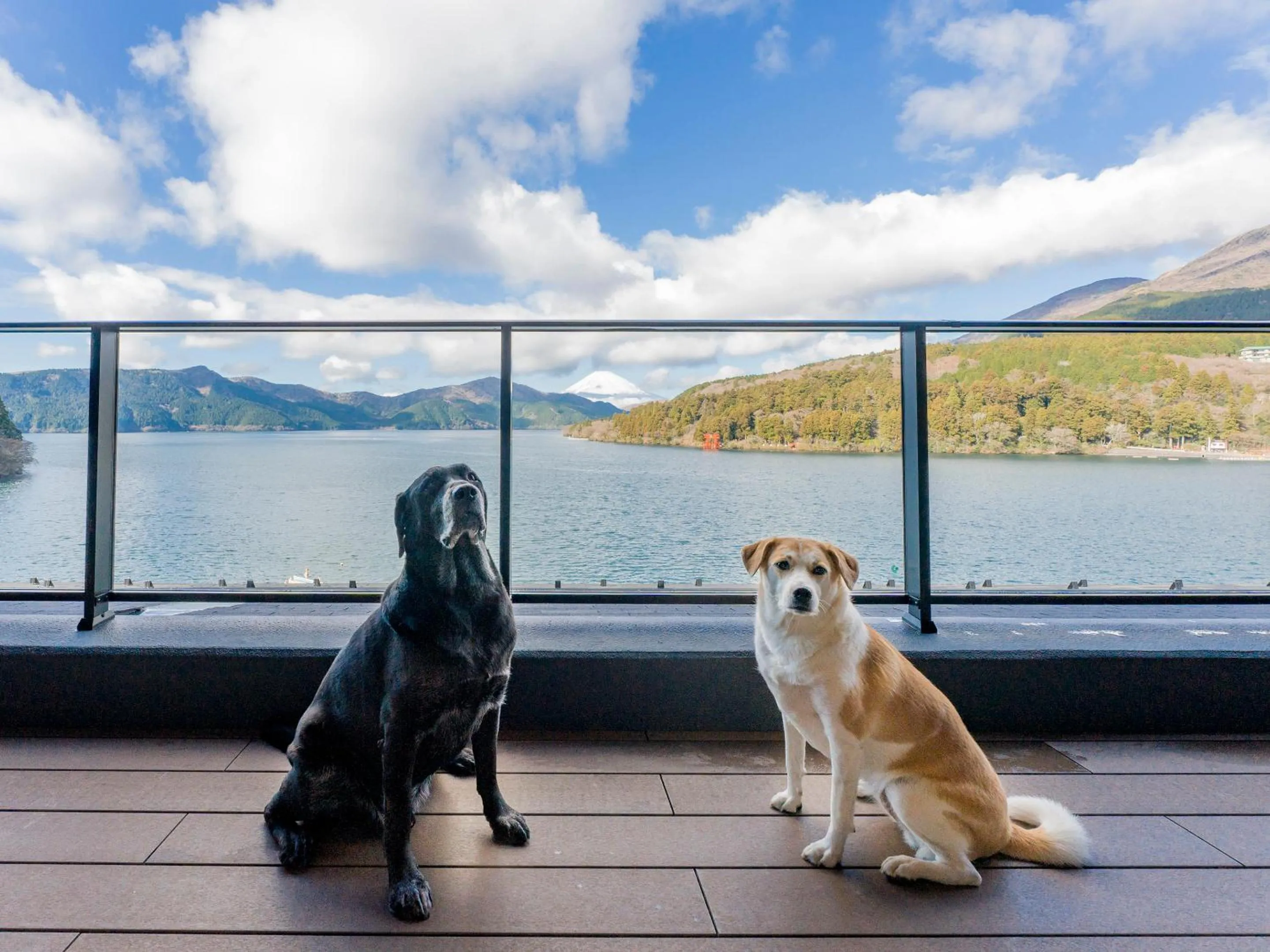 Balcony/Terrace in Rakuten STAY FUJIMI TERRACE Hakone Ashinoko