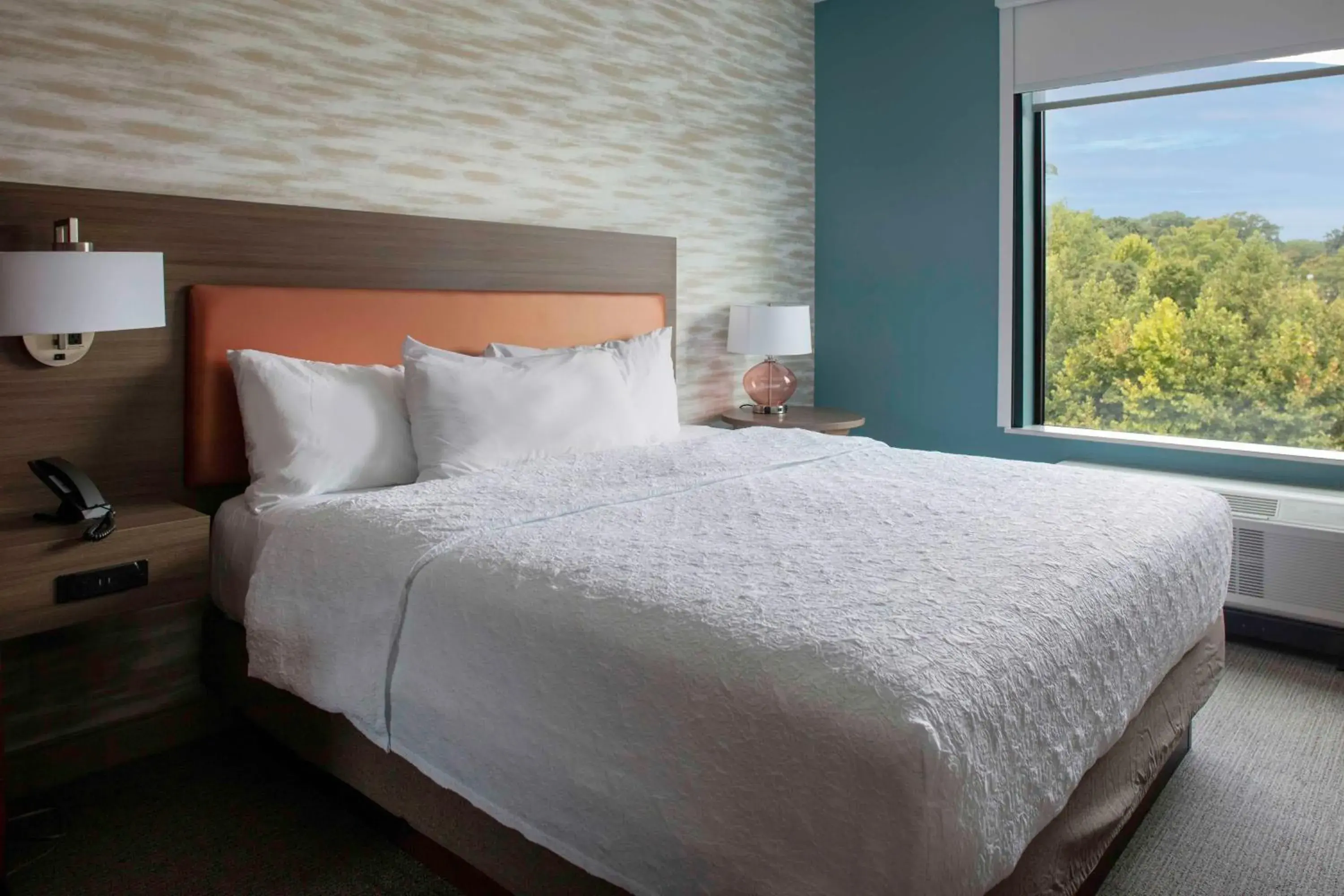 One-Bedroom King Suite in Home2 Suites By Hilton Lynchburg One-Bedroom King Suite in Home2 Suites By Hilton Lynchburg