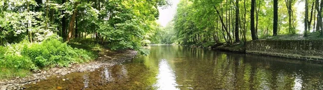 Natural landscape in Hotel Weinhaus Eberitzsch GmbH
