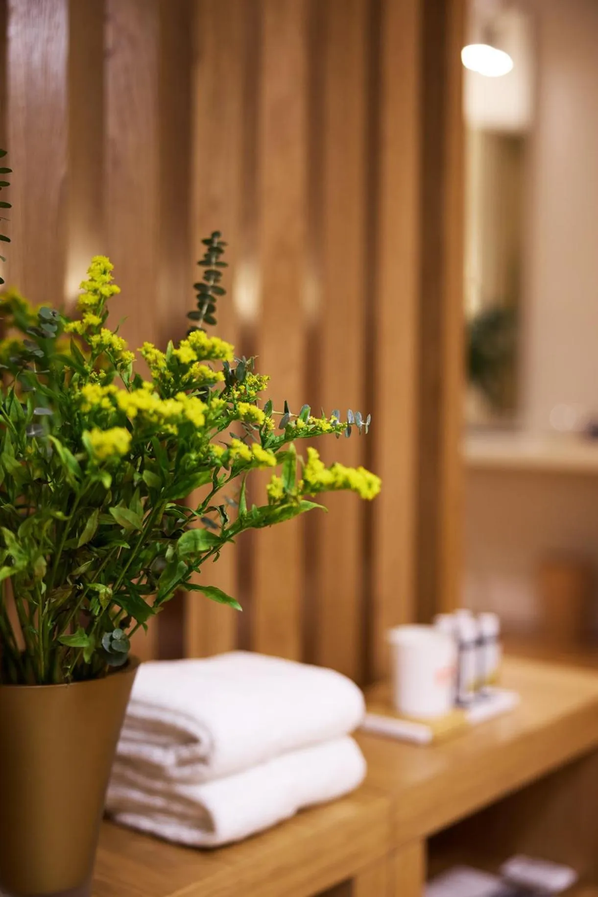 towels in Vrachos Athens Suites