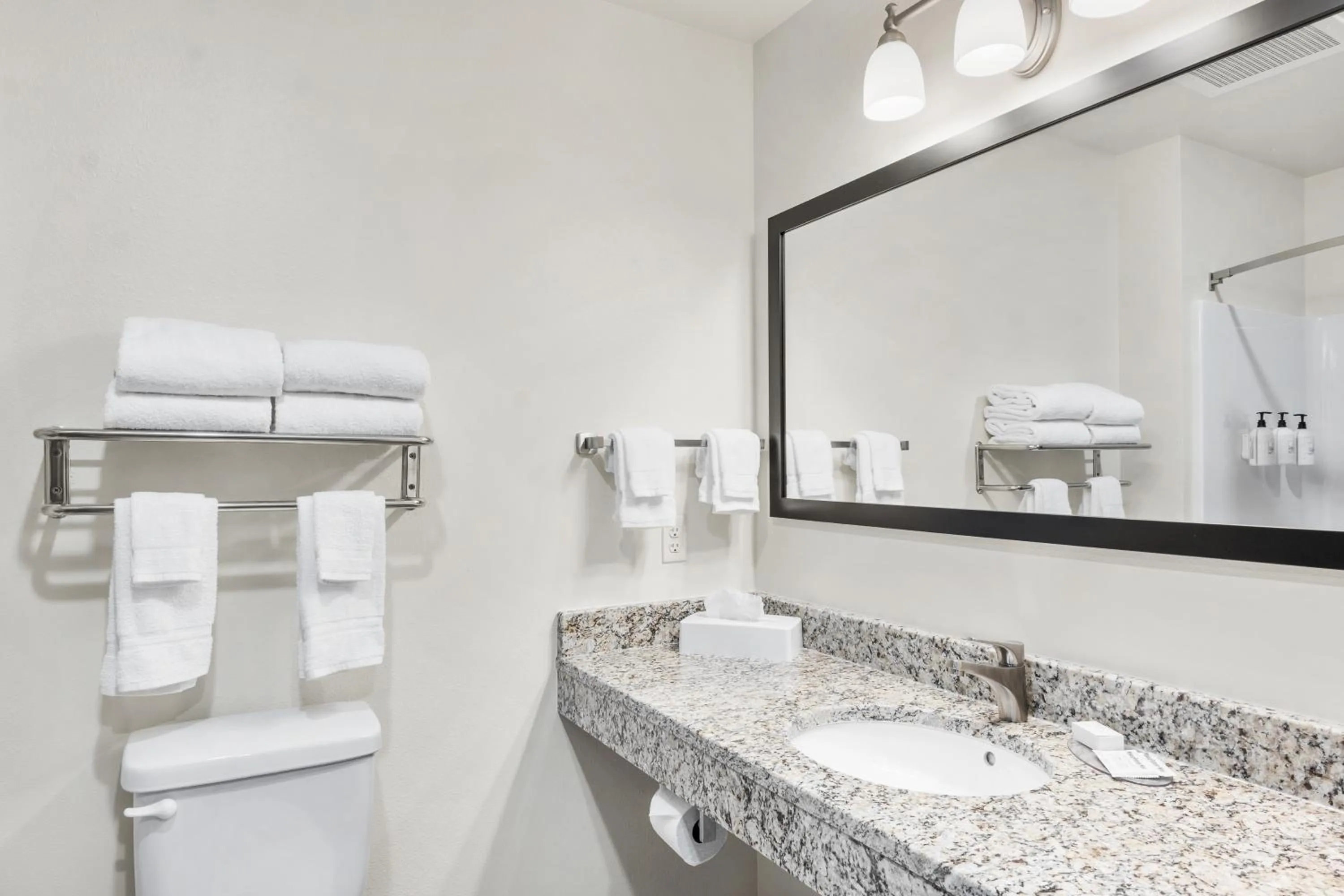 Bathroom in Cobblestone Hotel & Suites Denmark - Green Bay