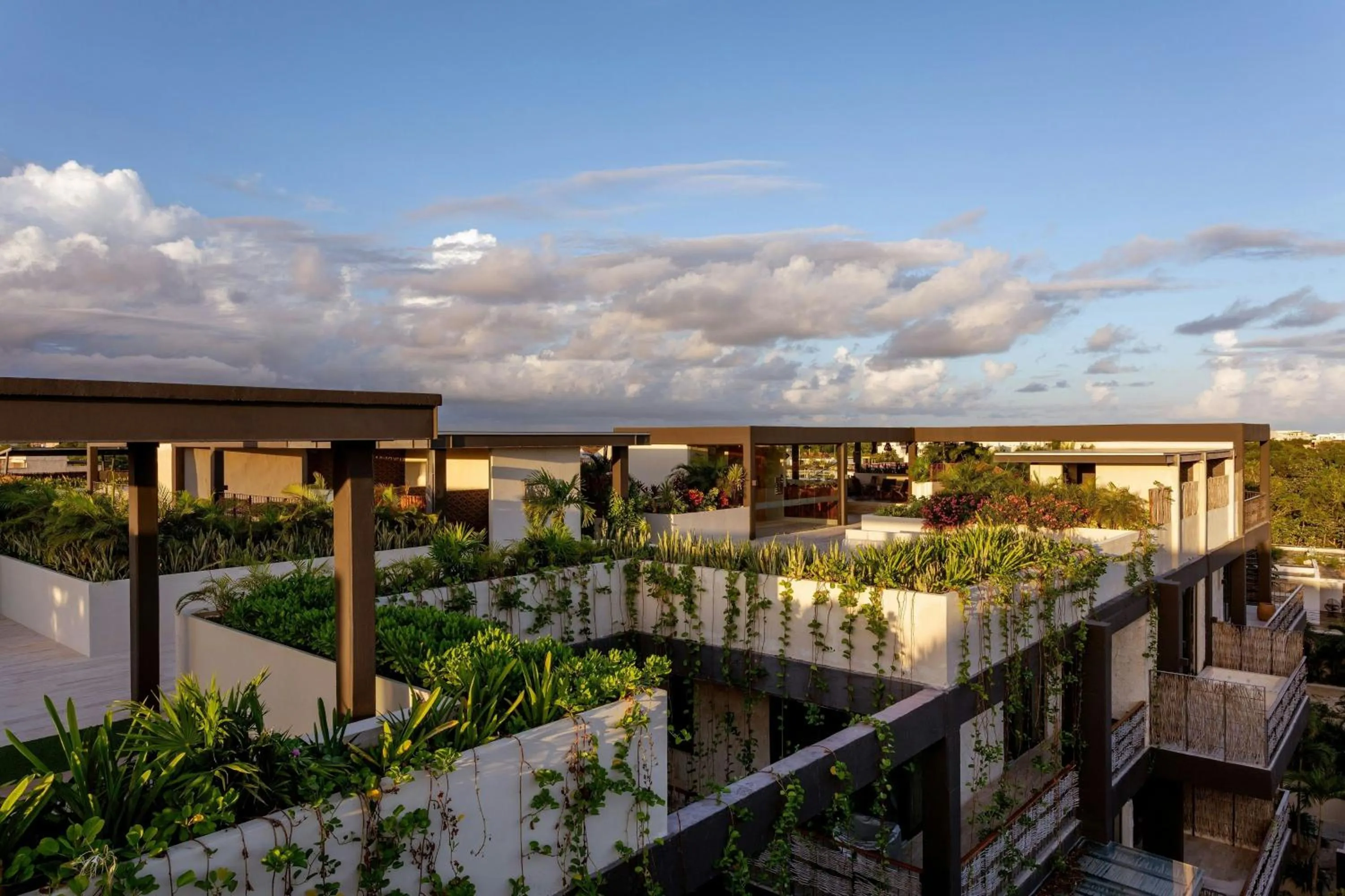 View (from property/room) in Bloom Tulum, Apartments by Marriott Bonvoy