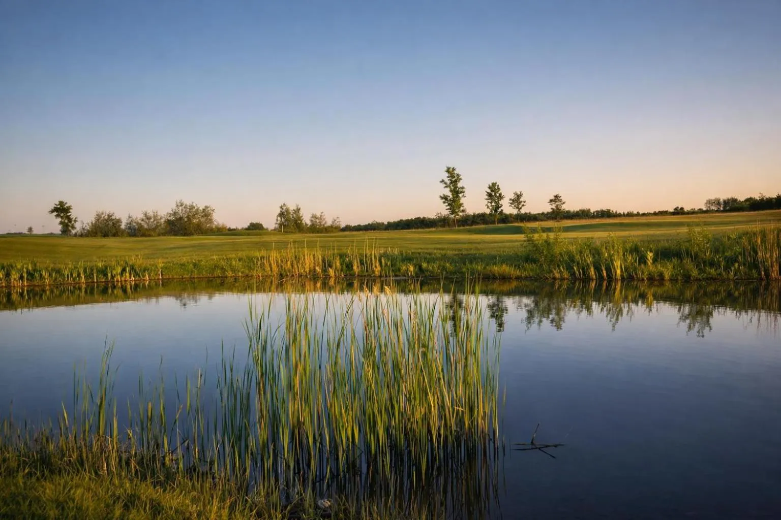 Natural landscape in Schloss Krugsdorf Golf & Hotel