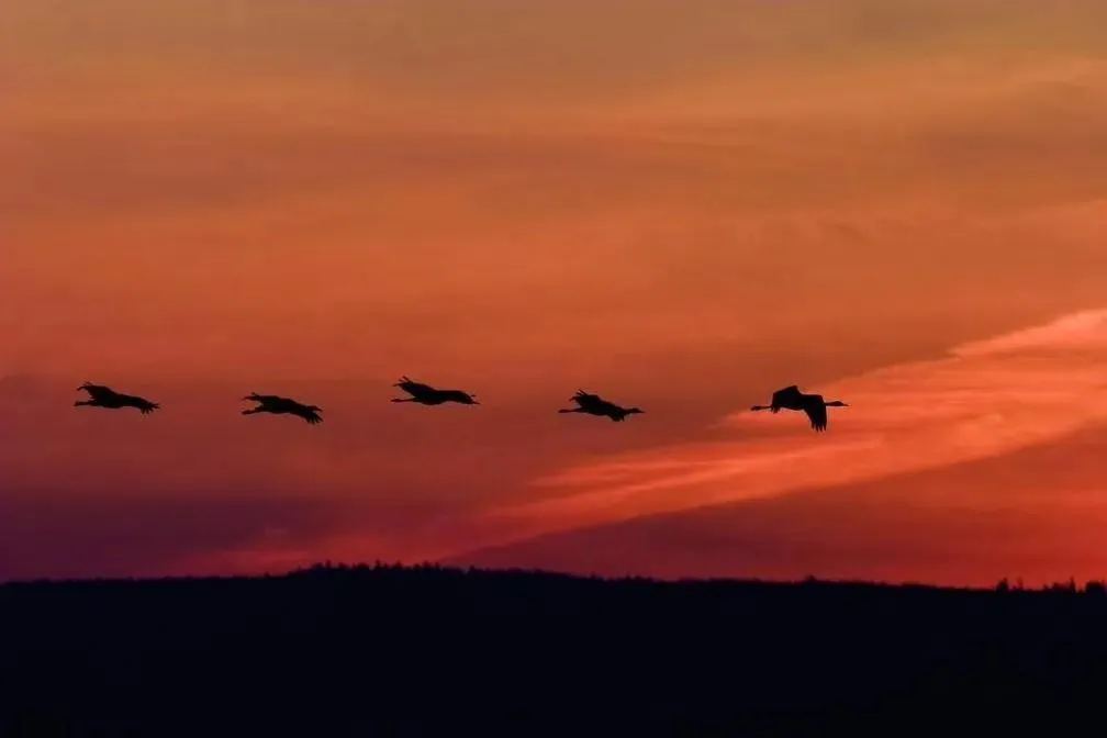 Other in Schloss Krugsdorf Golf & Hotel