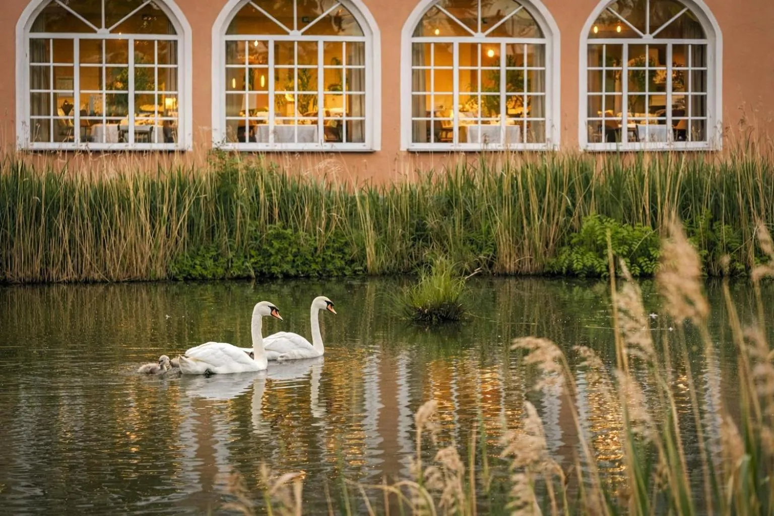 Property building in Schloss Krugsdorf Golf & Hotel