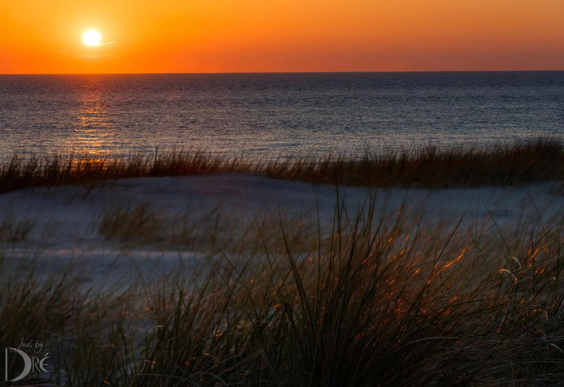 Beach in Strandhotel de Vassy