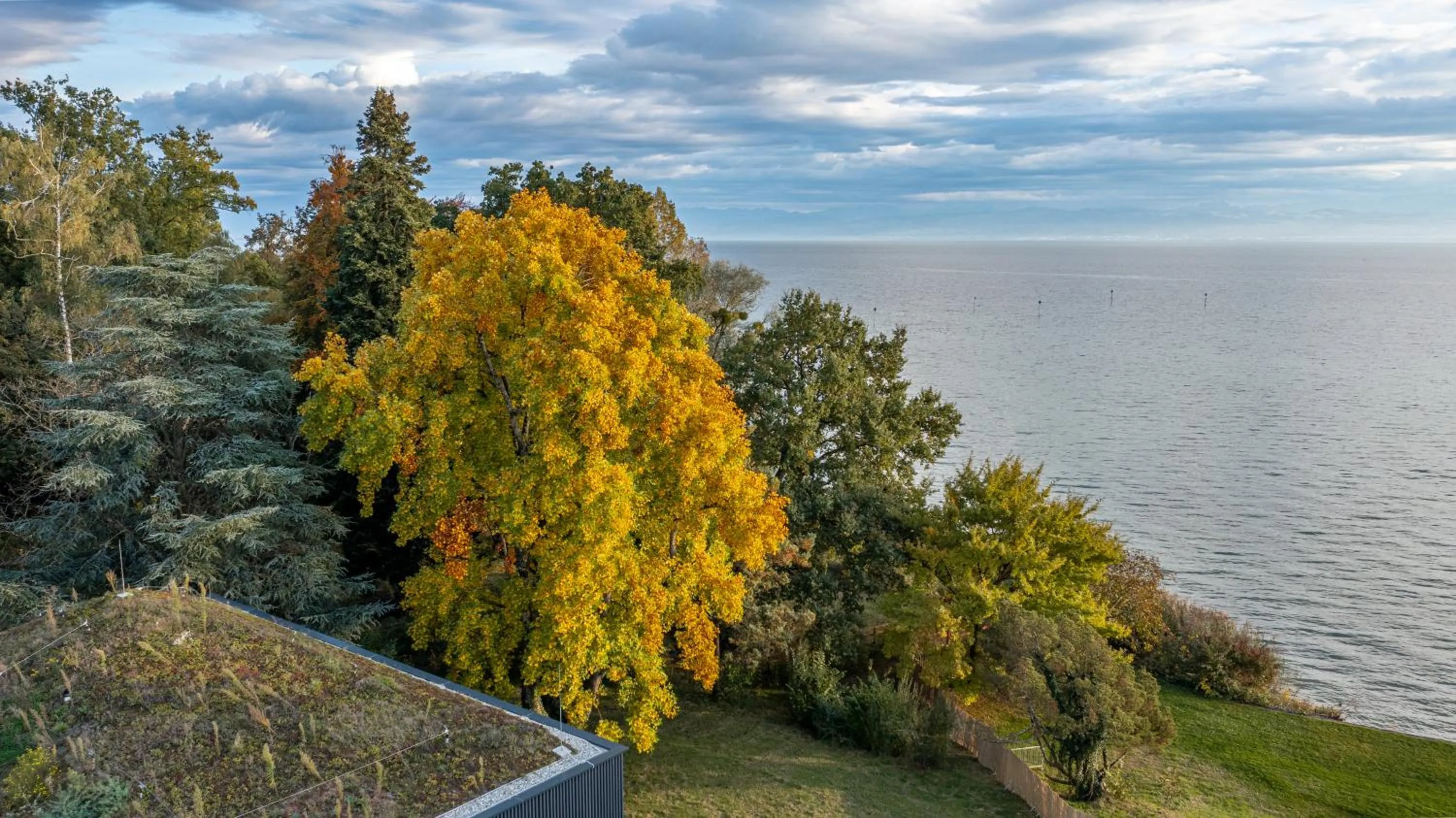 Garden in Seegut Zeppelin - a member of Design Hotels