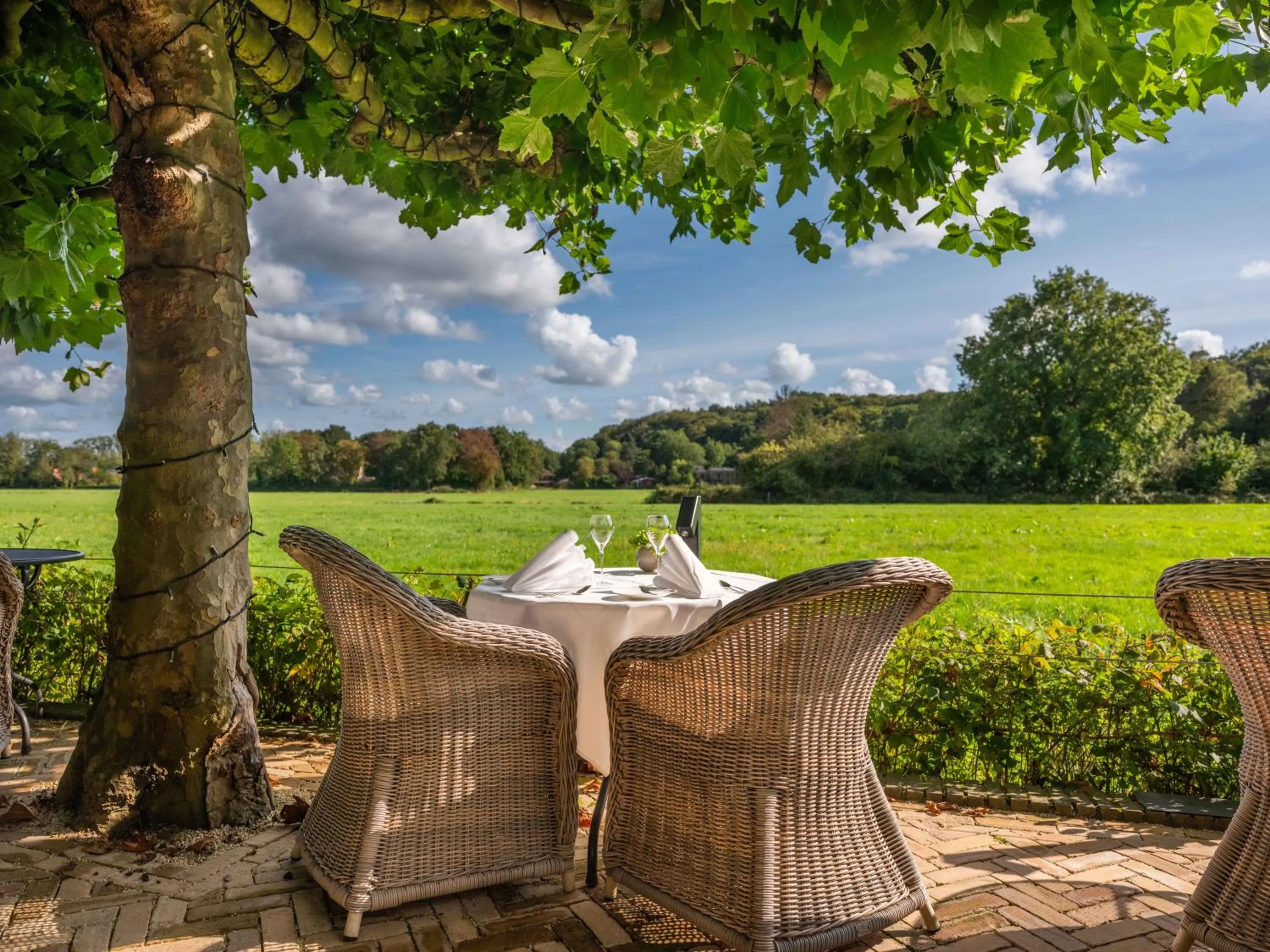 Garden in Restaurant Hotel Merlet