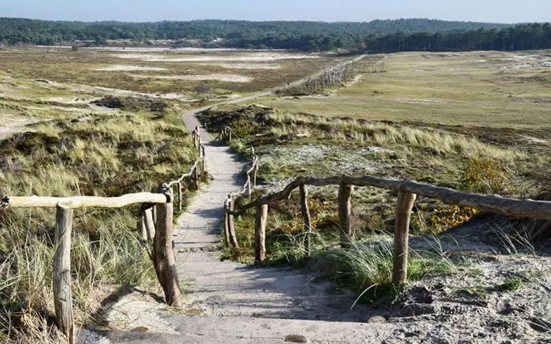 Natural landscape in Restaurant Hotel Merlet