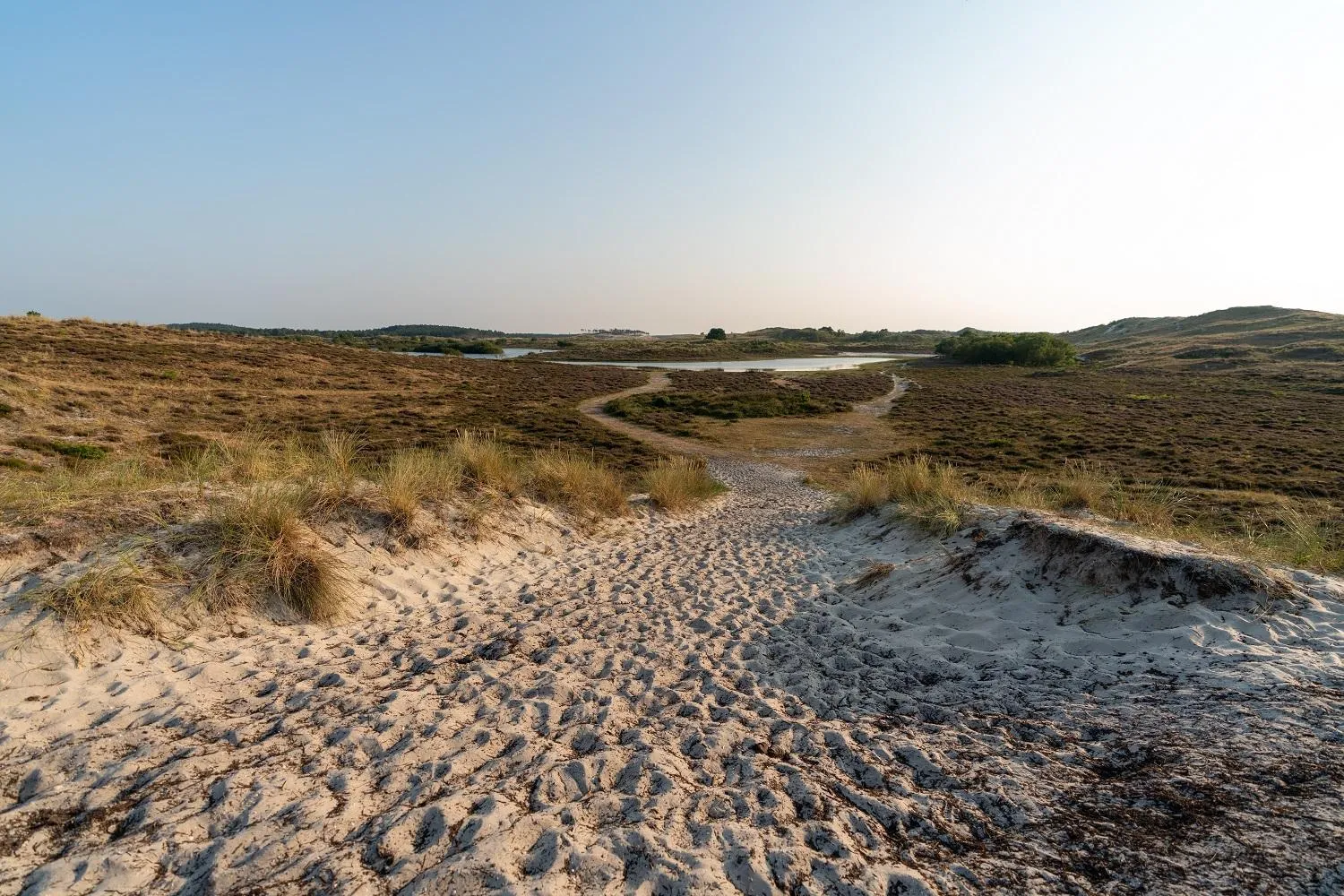 Natural landscape in Restaurant Hotel Merlet
