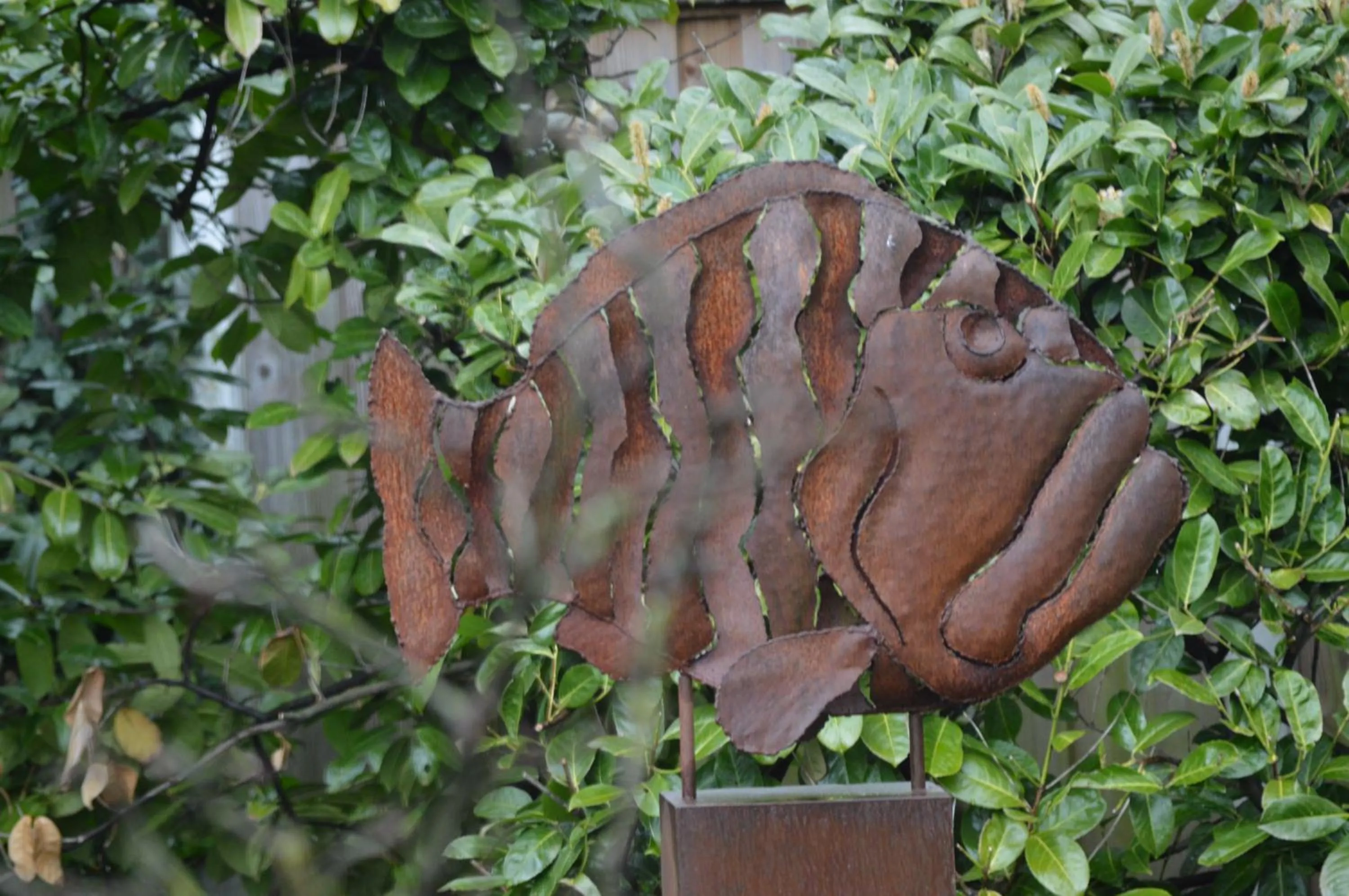 Bird's eye view in De Rozenstruik