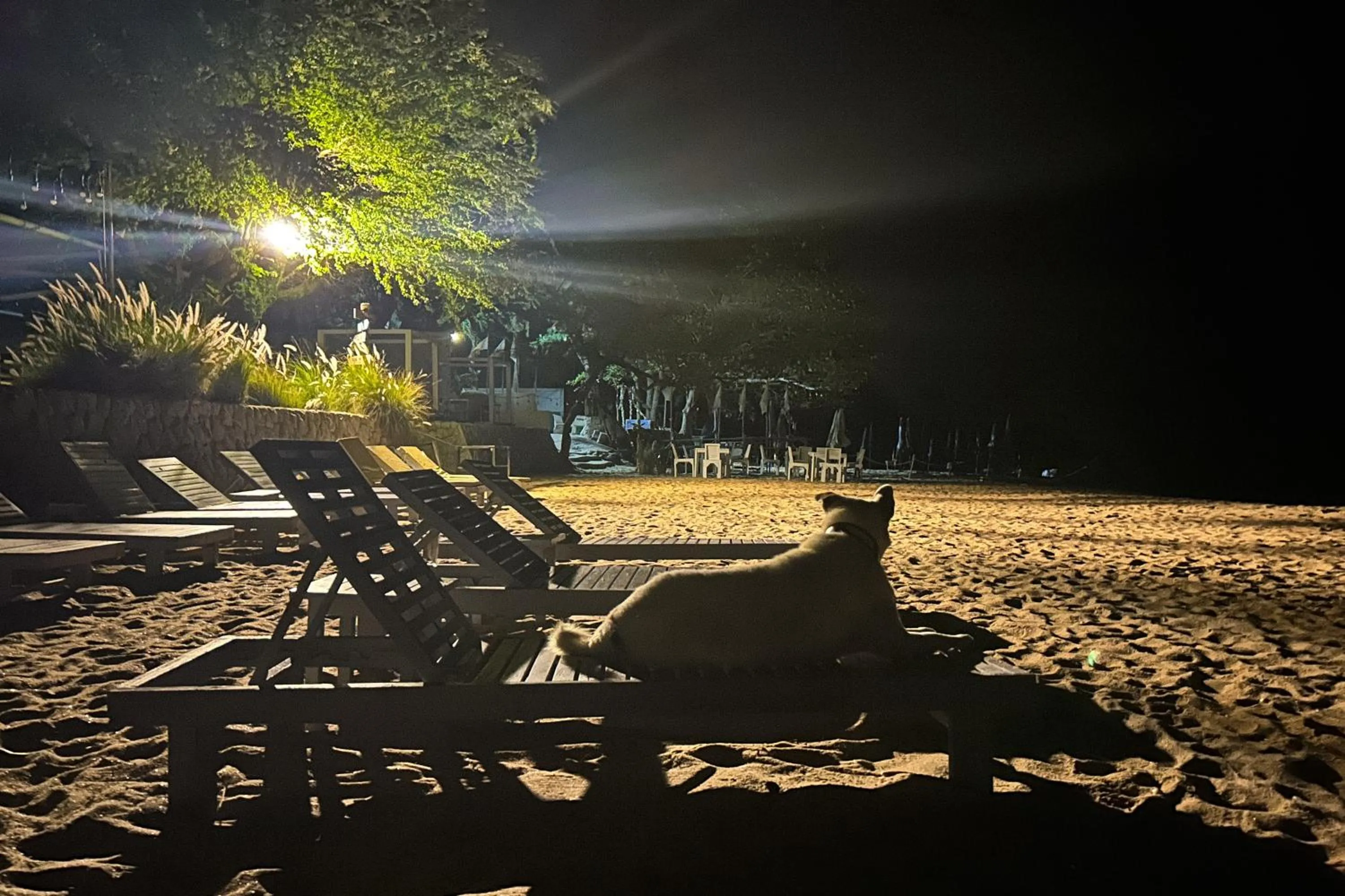 Night in Boonsong Guest House