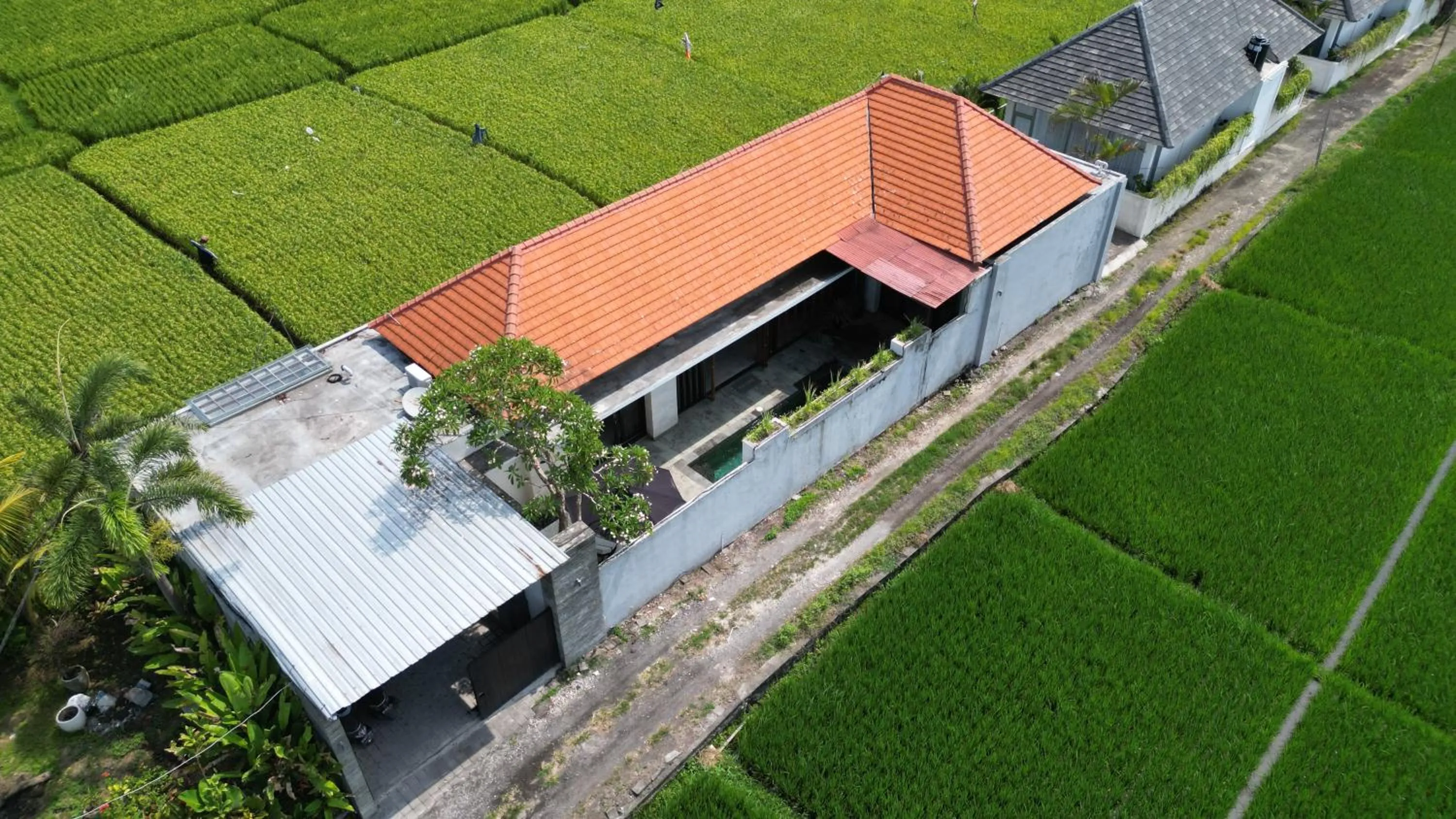 Property building in Villa Clove Cemagi