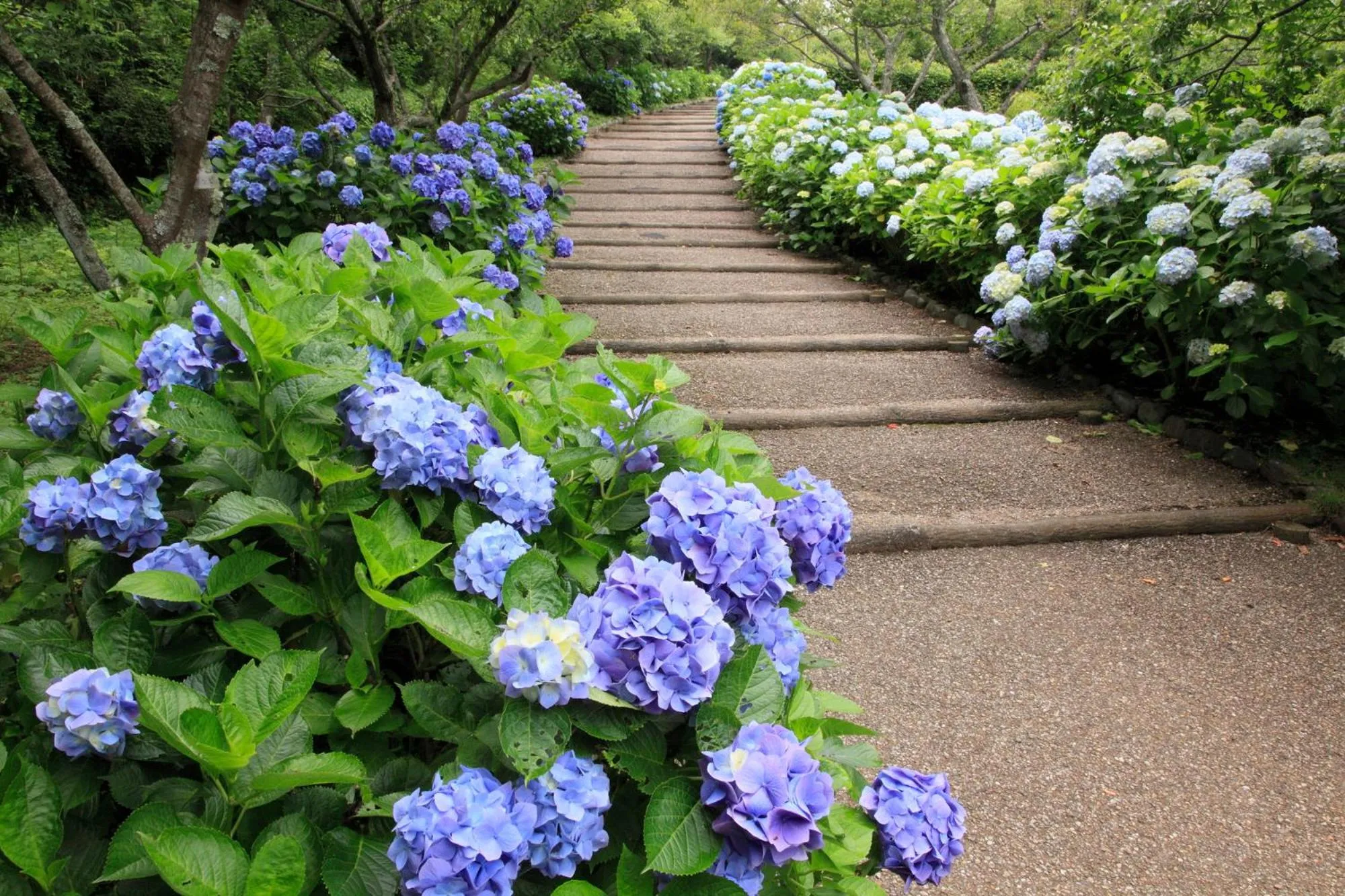 Nearby landmark in Tabist Hotel New Central