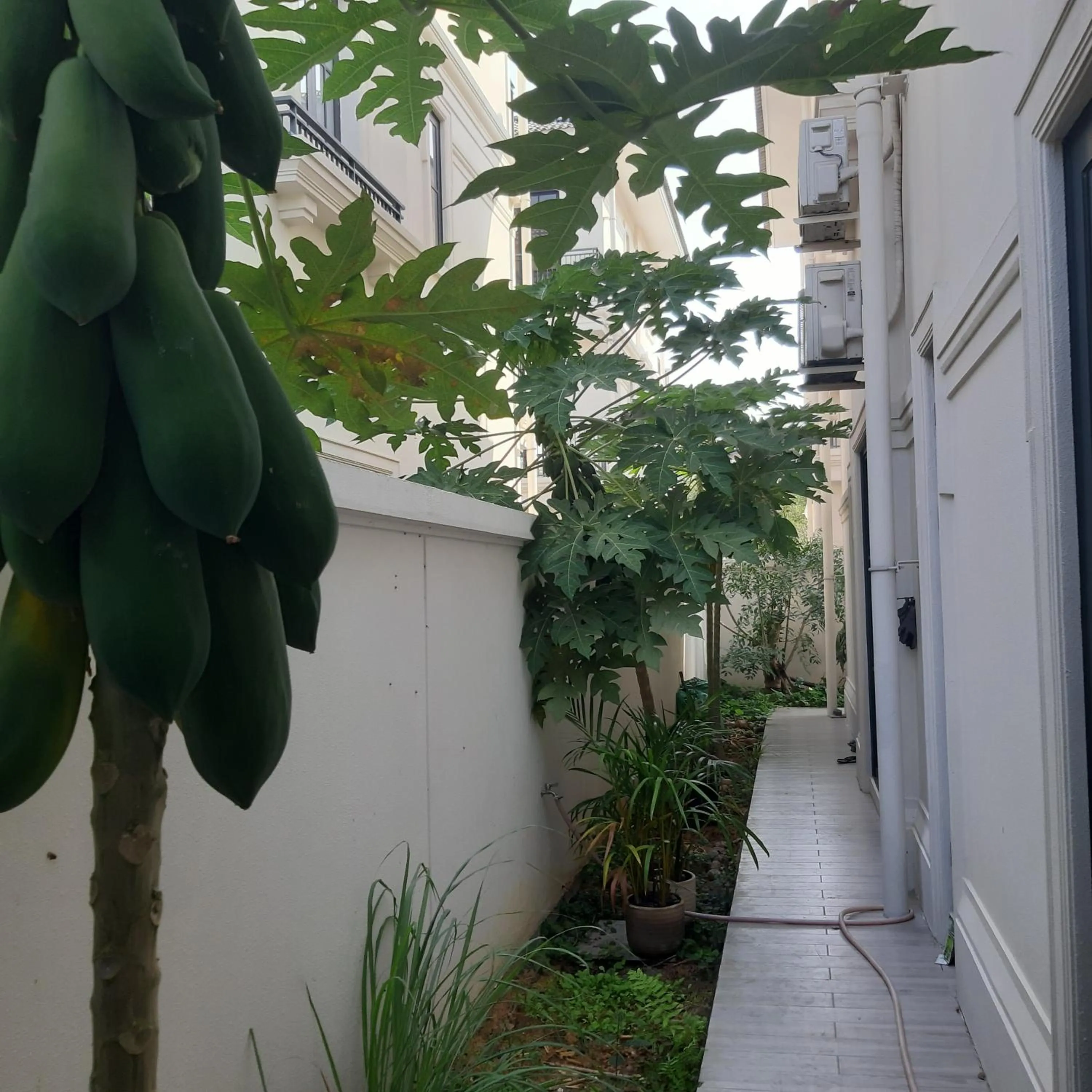 Patio in Thong Dong Homestay