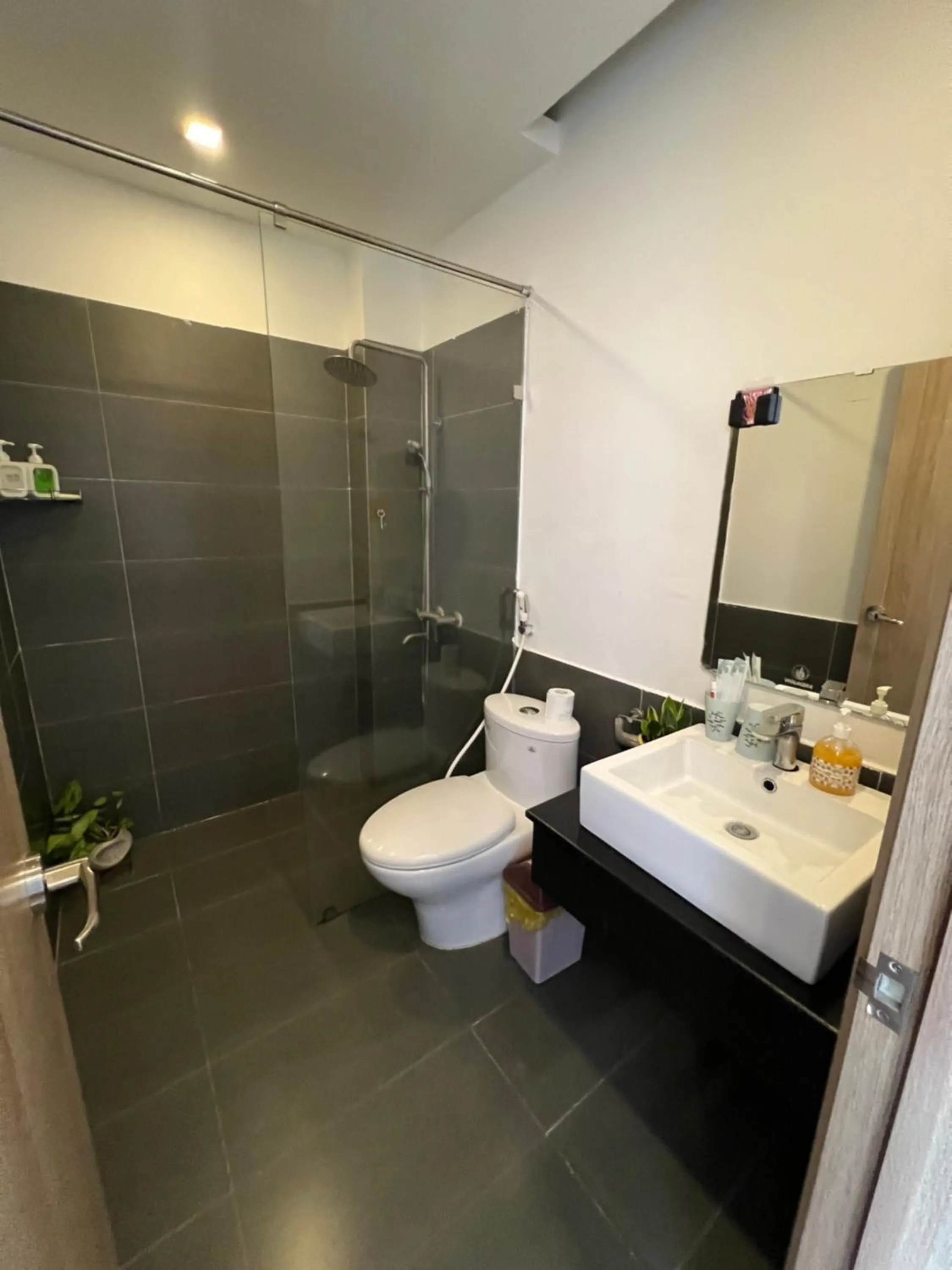 Toilet in Vindy House
