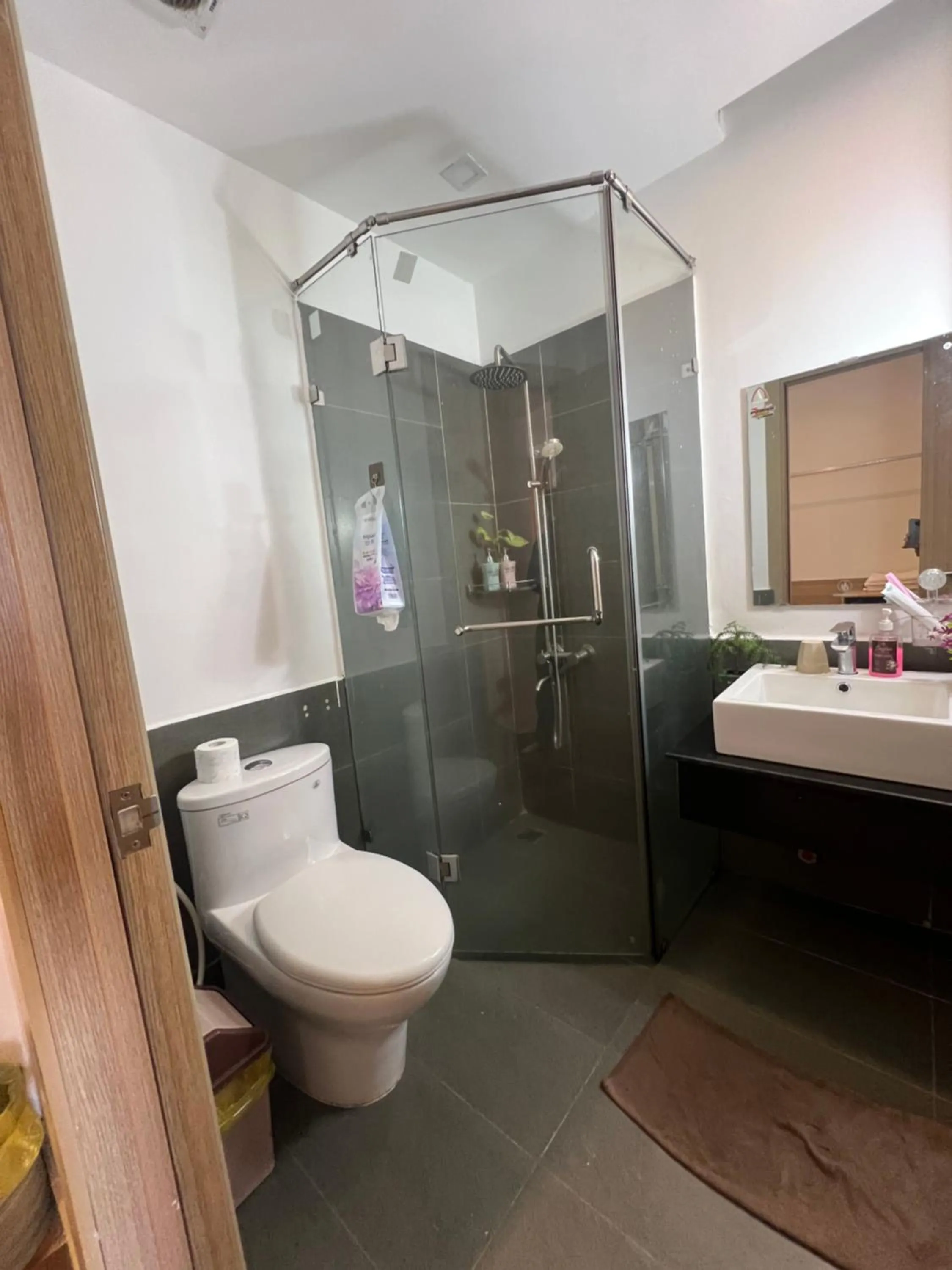 Toilet in Vindy House