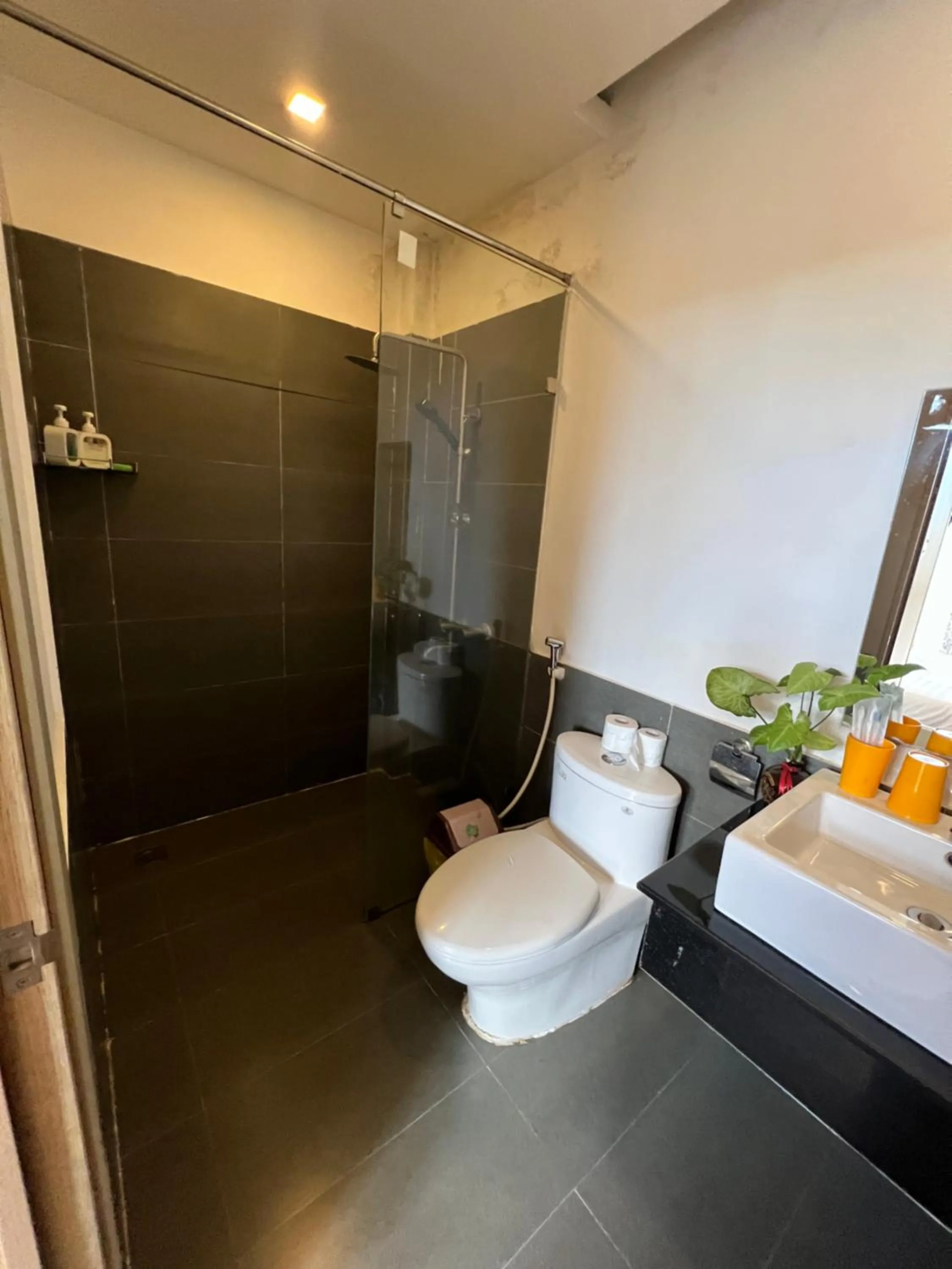 Shower in Vindy House