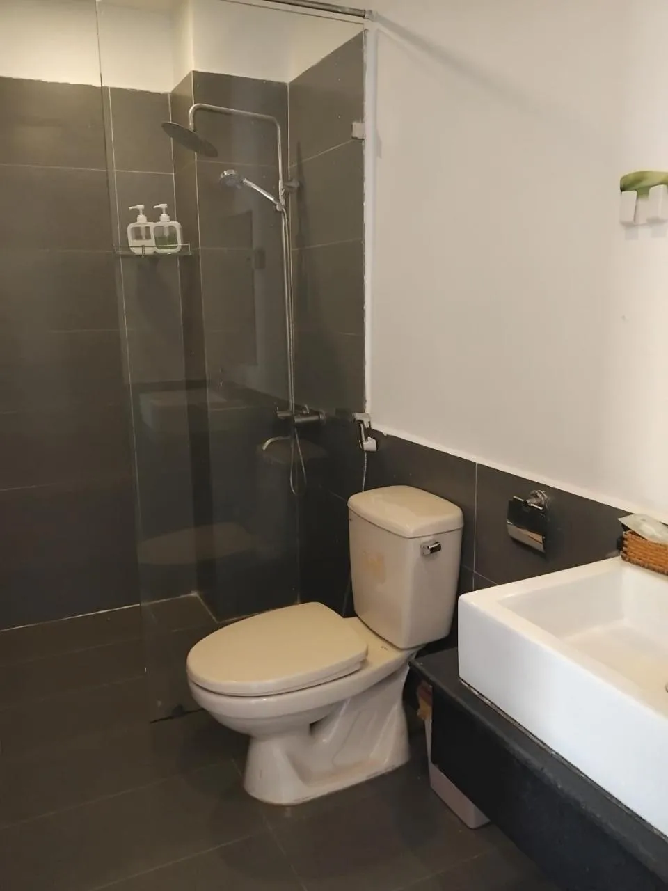 Toilet in Vindy House