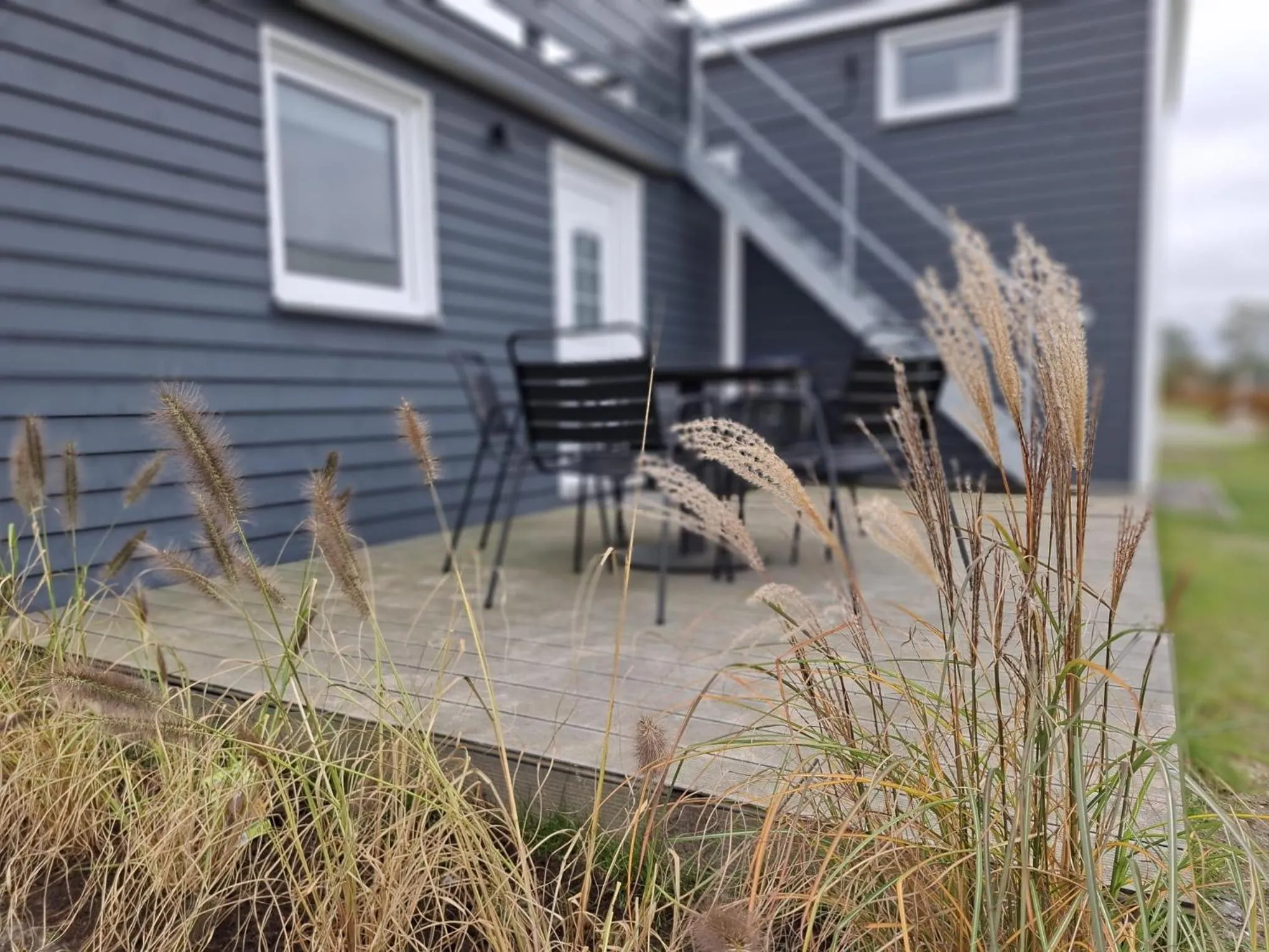 Prima Resort Boddenblick - Camping & Tiny House-Resort