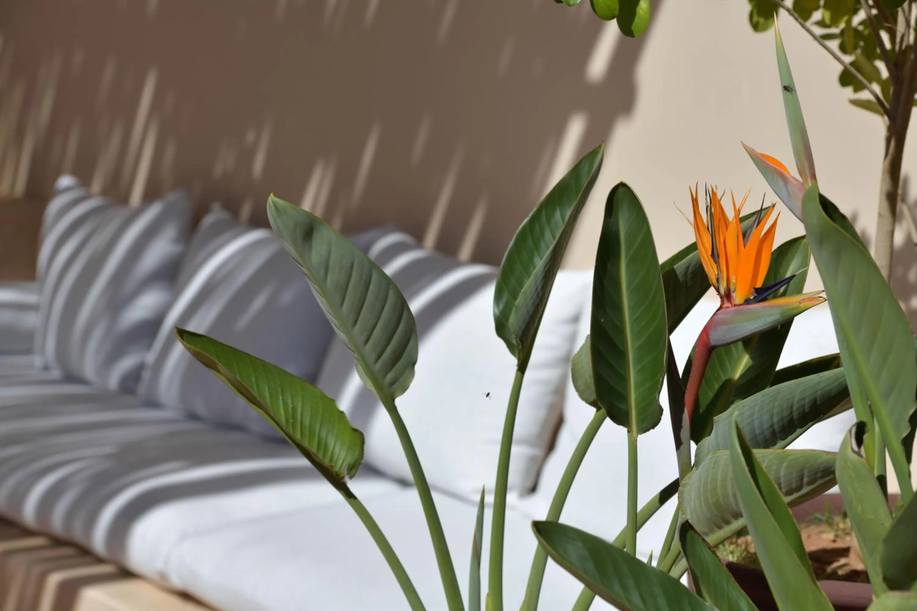 Patio in Riad Palau Marrakech