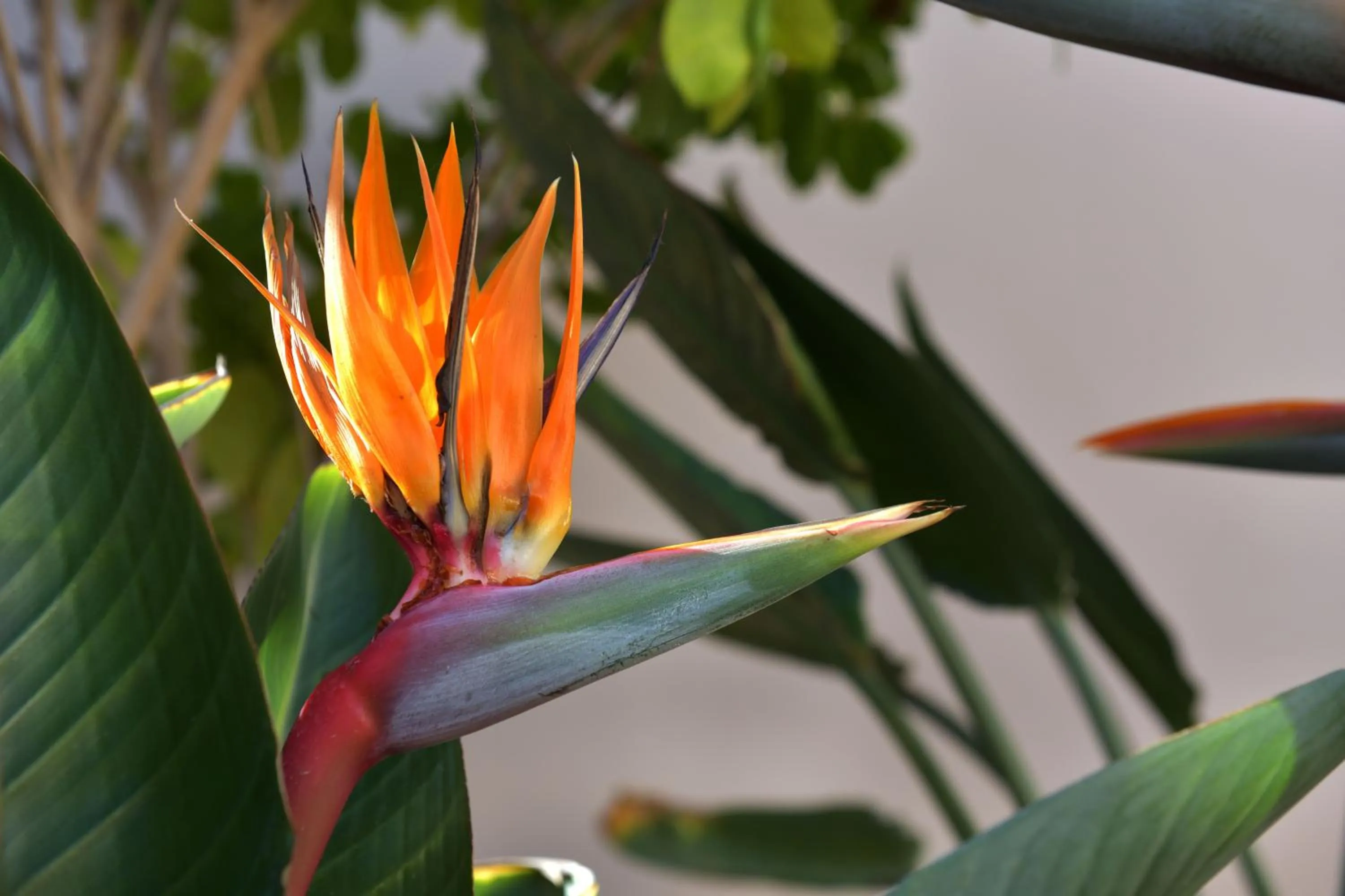 Day in Riad Palau Marrakech