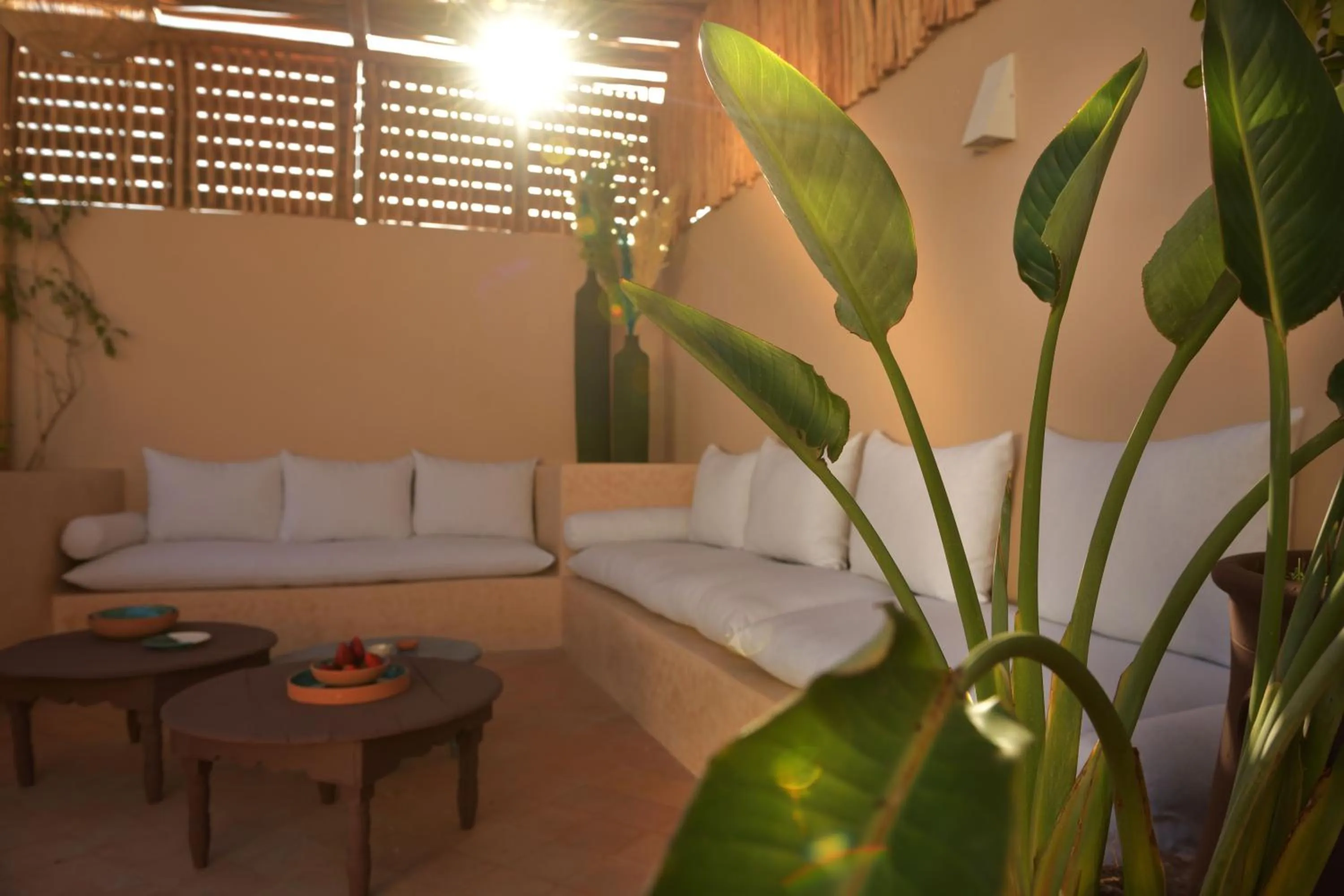Patio in Riad Palau Marrakech
