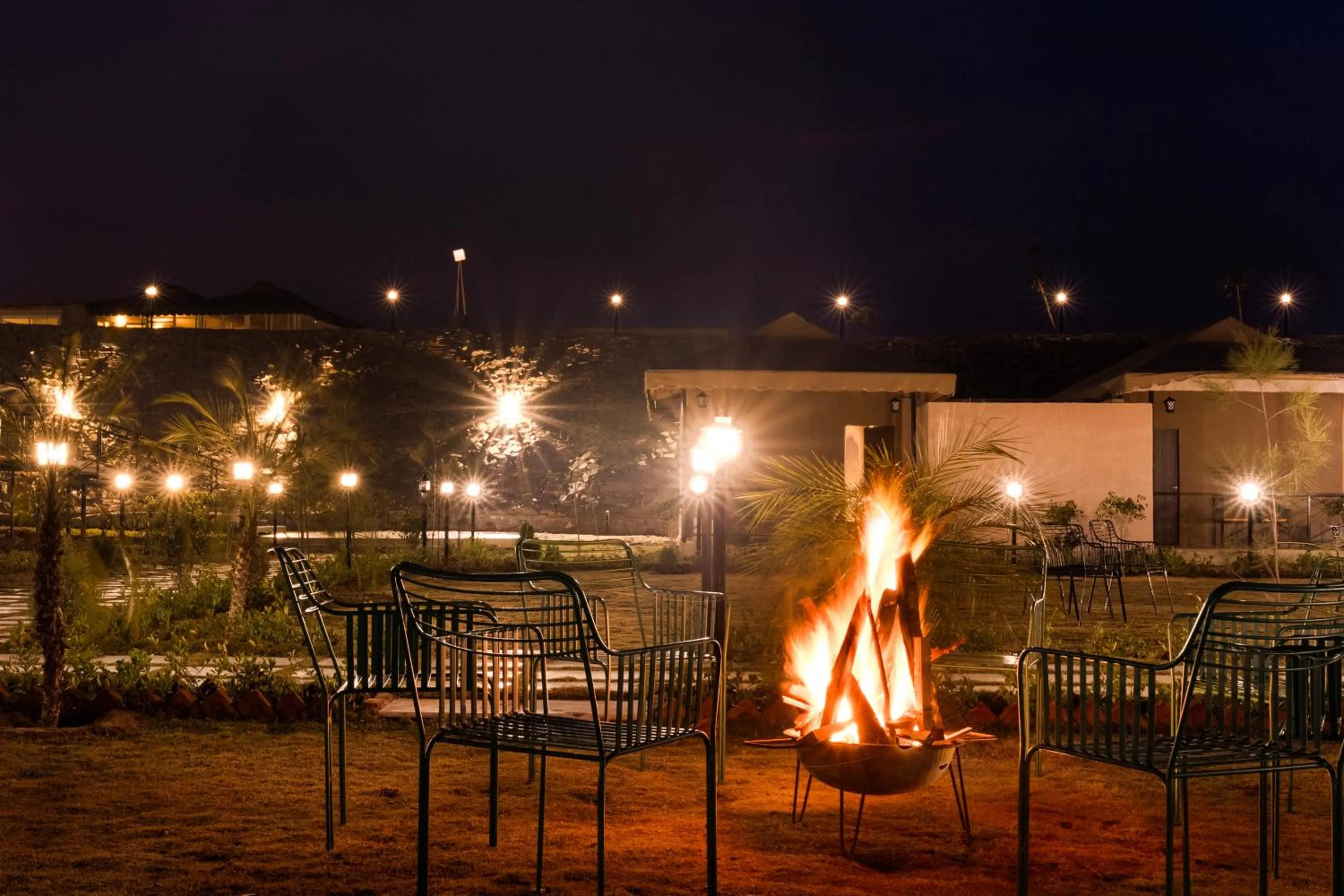 Night in Sterling ReWild Sariska