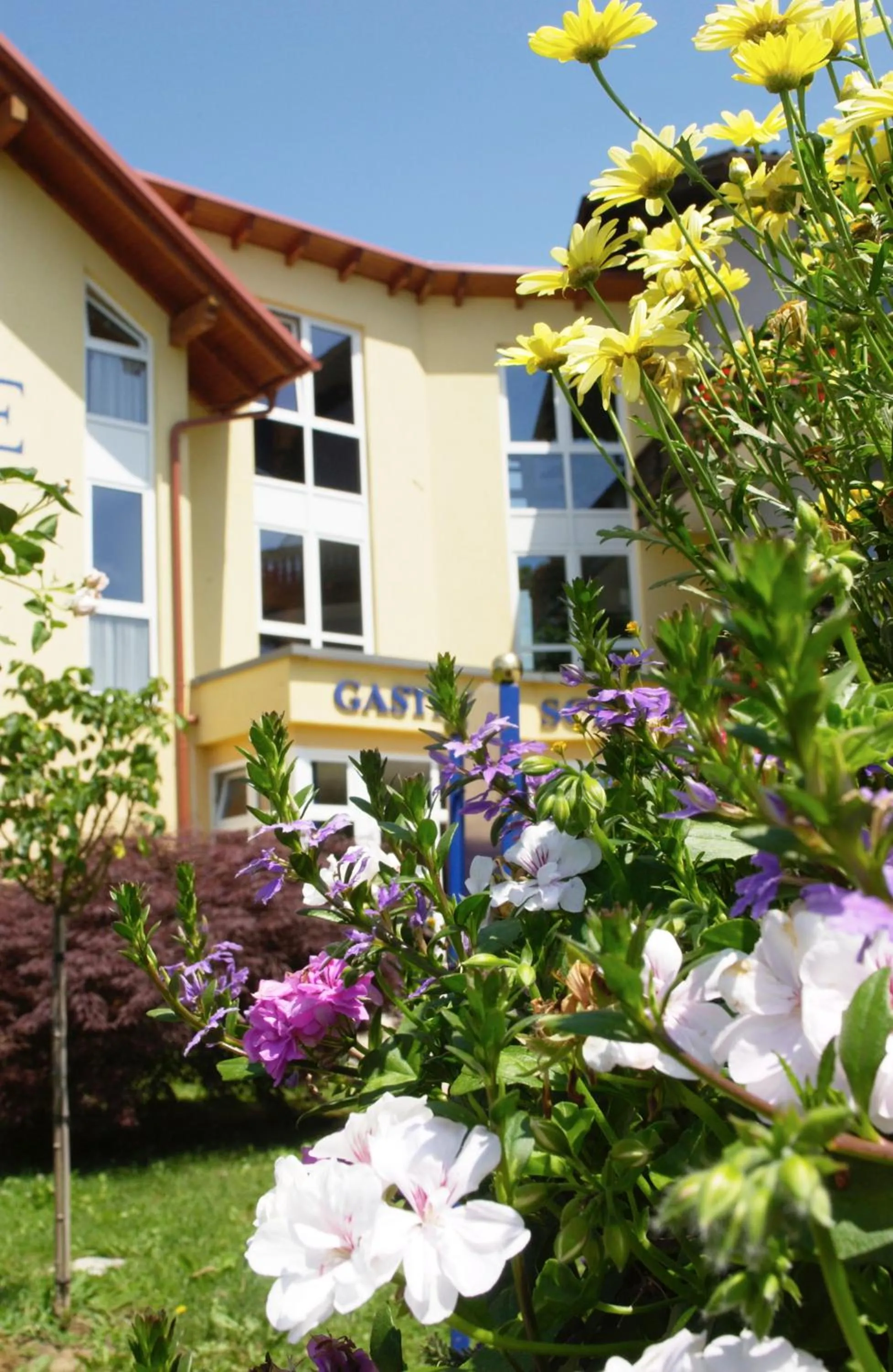 Property building in Hotel Gasthof Scheer