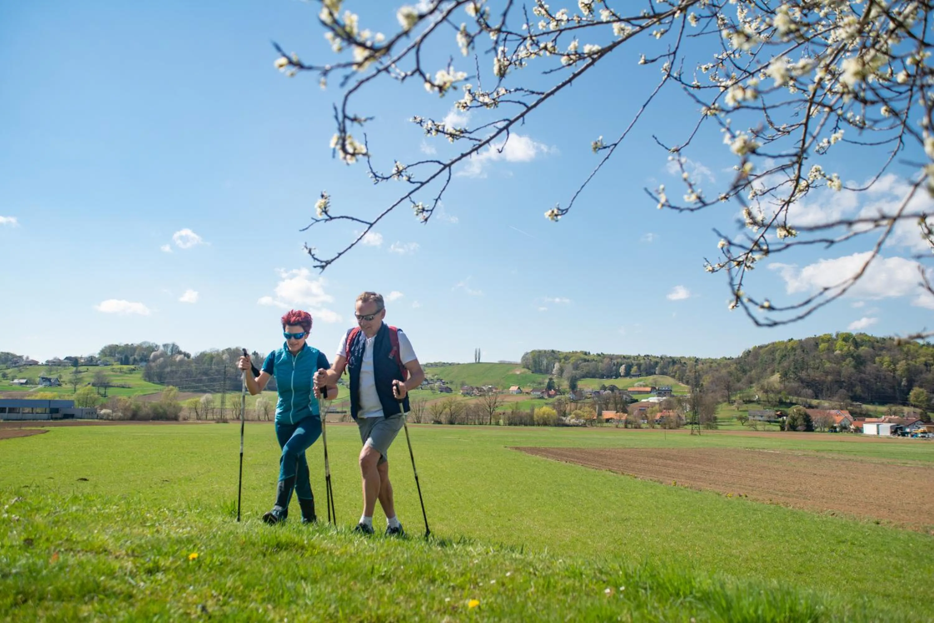 Hiking in Hotel Gasthof Scheer