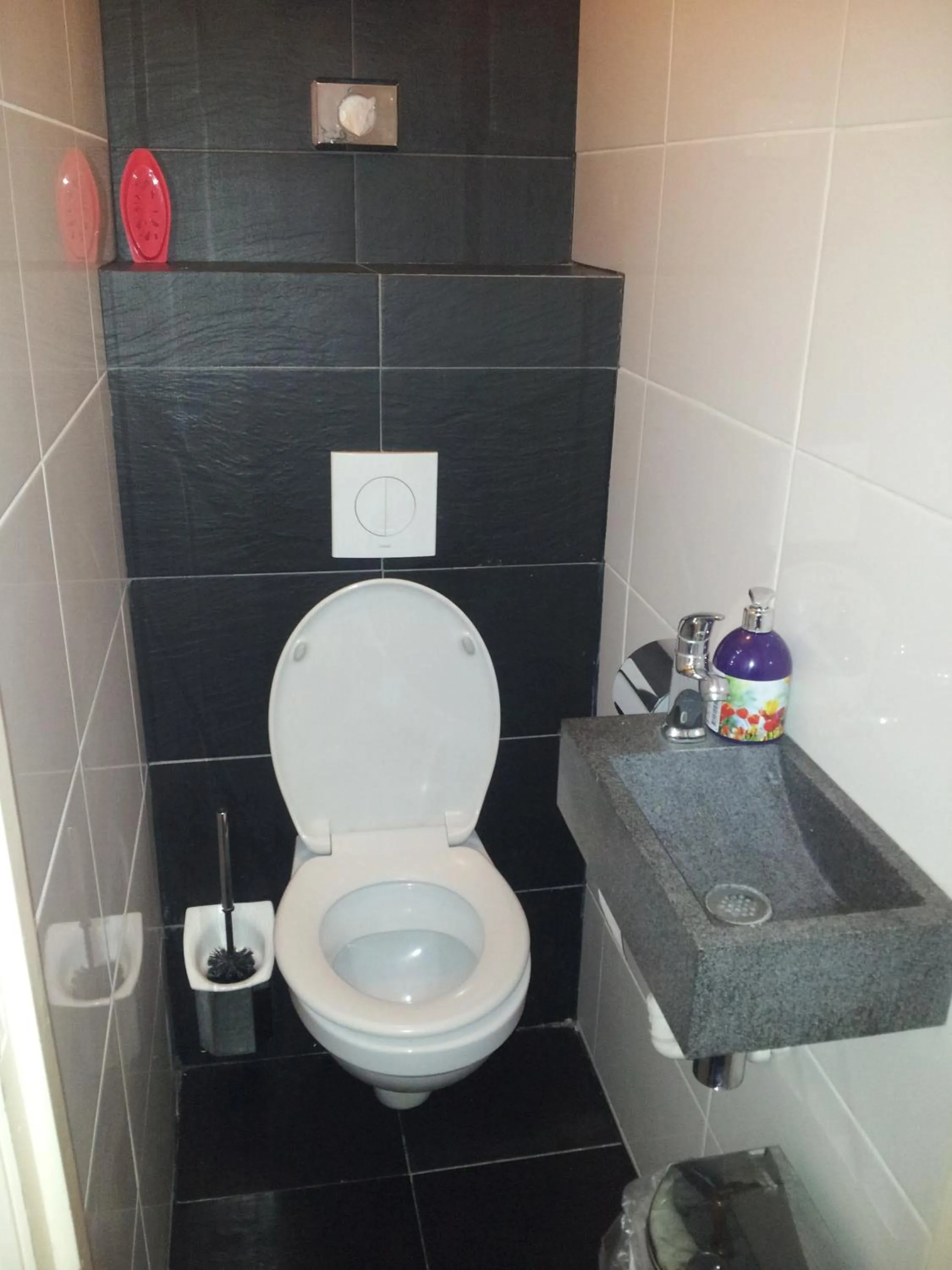 Toilet in Hotel Holland Lodge