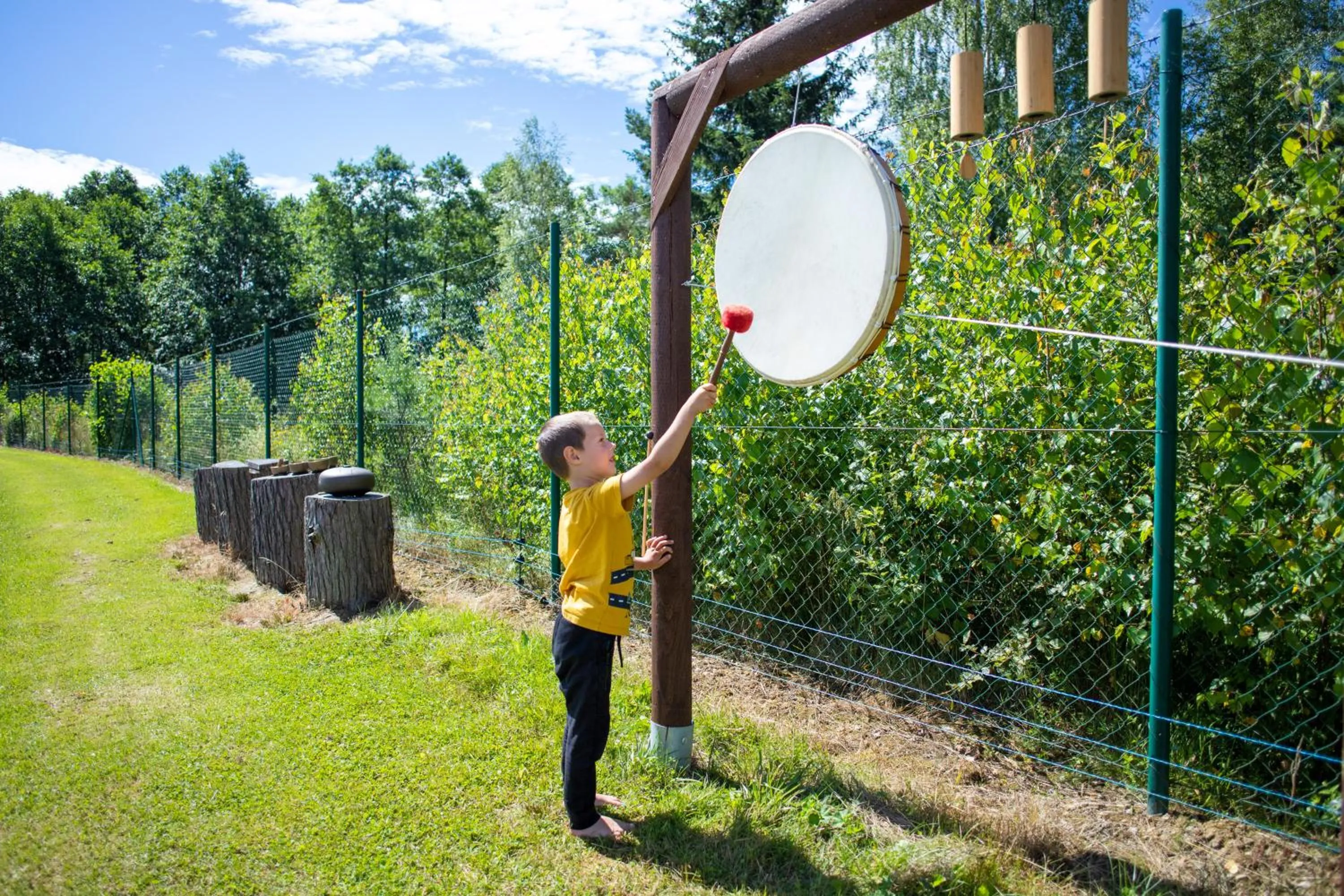 Activities in Amenity Hotel & Resort Lipno