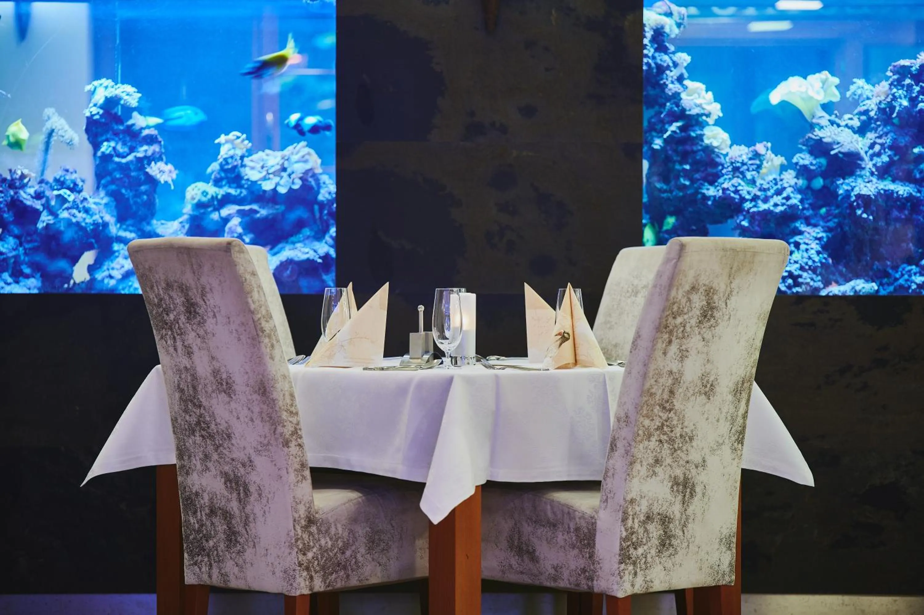 Restaurant/places to eat in Heipark Tošovice