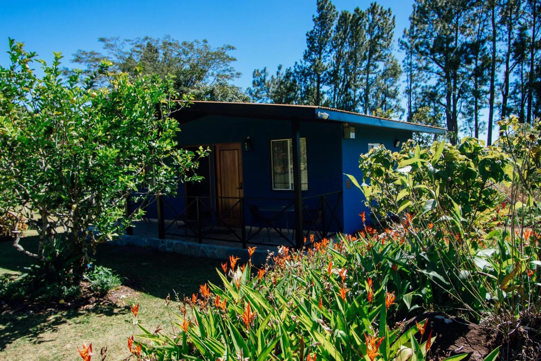 Spring in Hotel Boutique Los Abetos