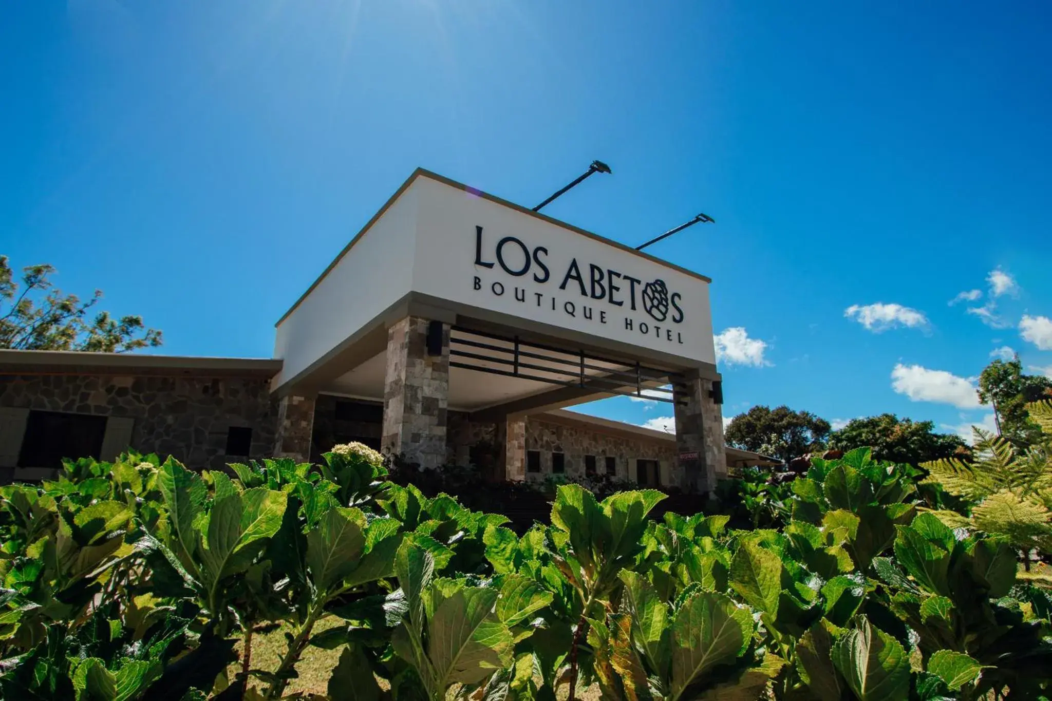 Hotel Boutique Los Abetos Hotel Boutique Los Abetos