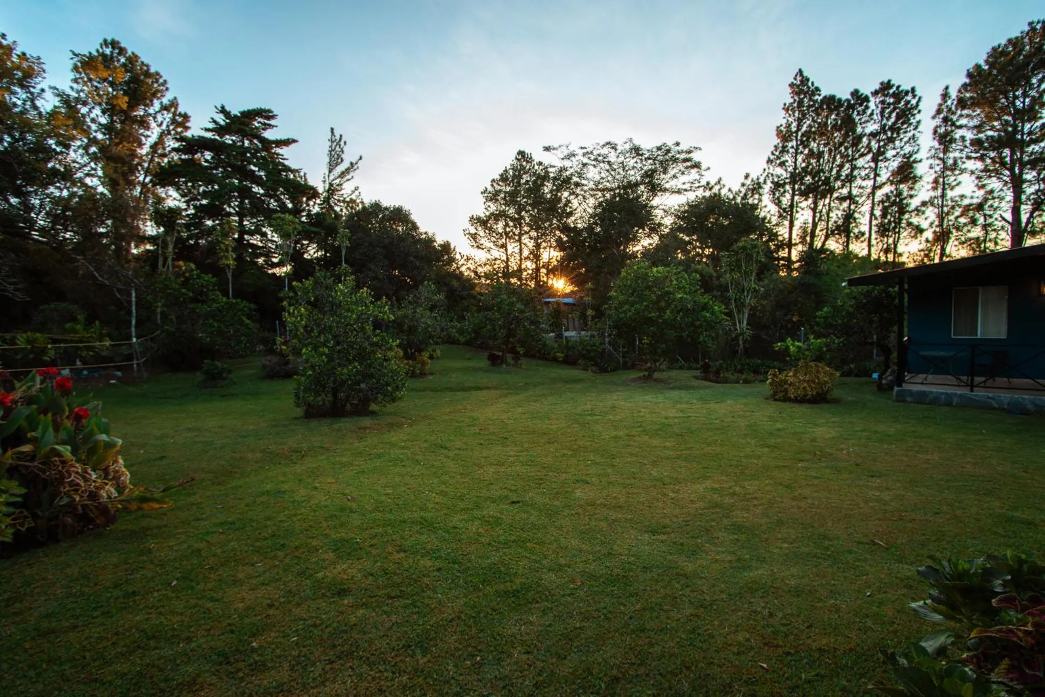 Garden in Hotel Boutique Los Abetos