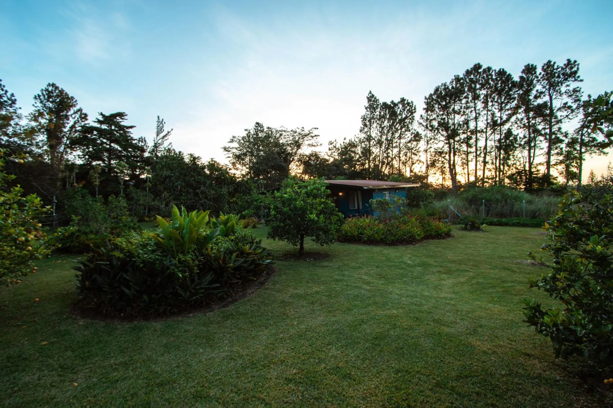 Garden view in Hotel Boutique Los Abetos
