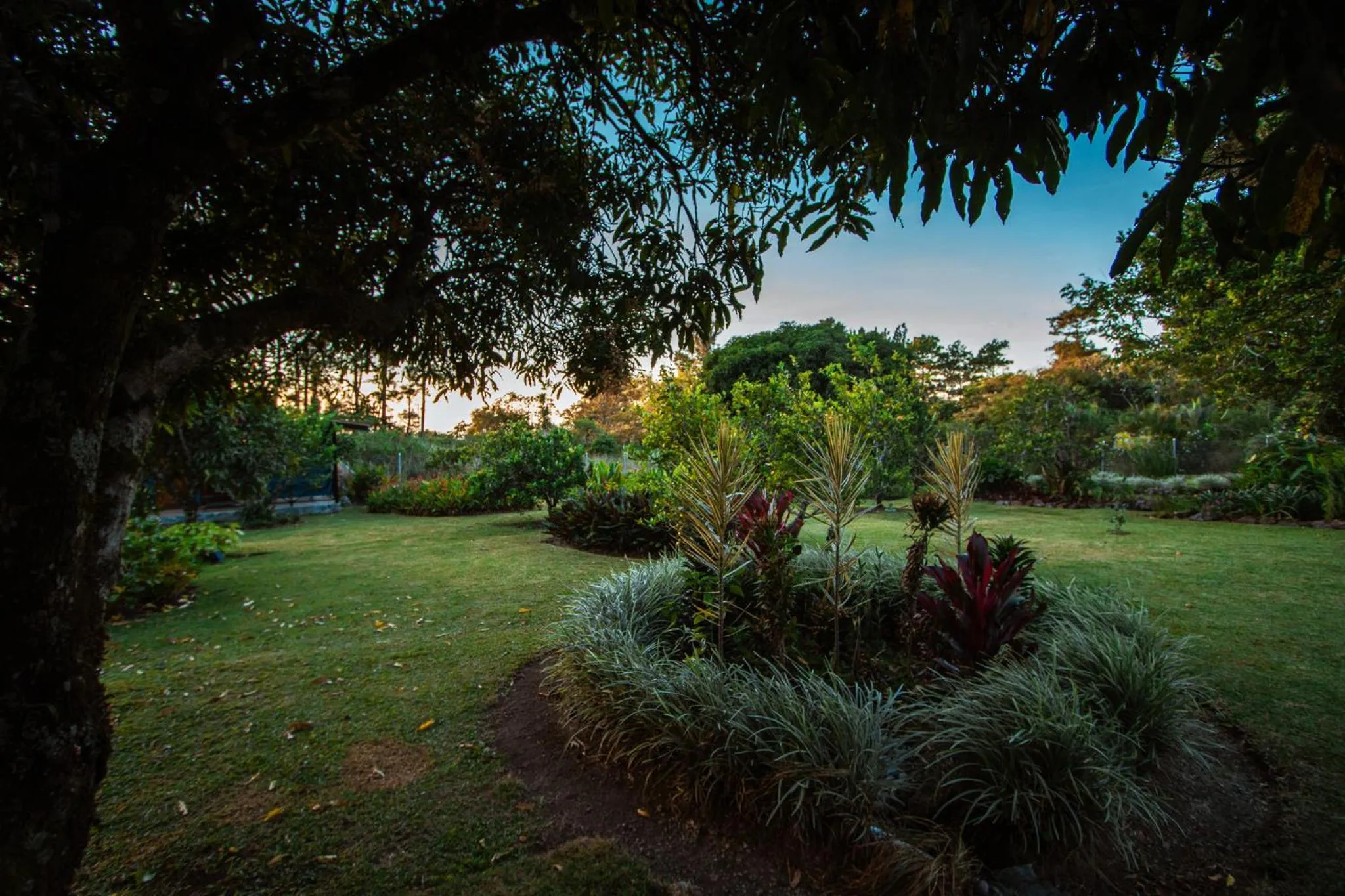 Garden view in Hotel Boutique Los Abetos