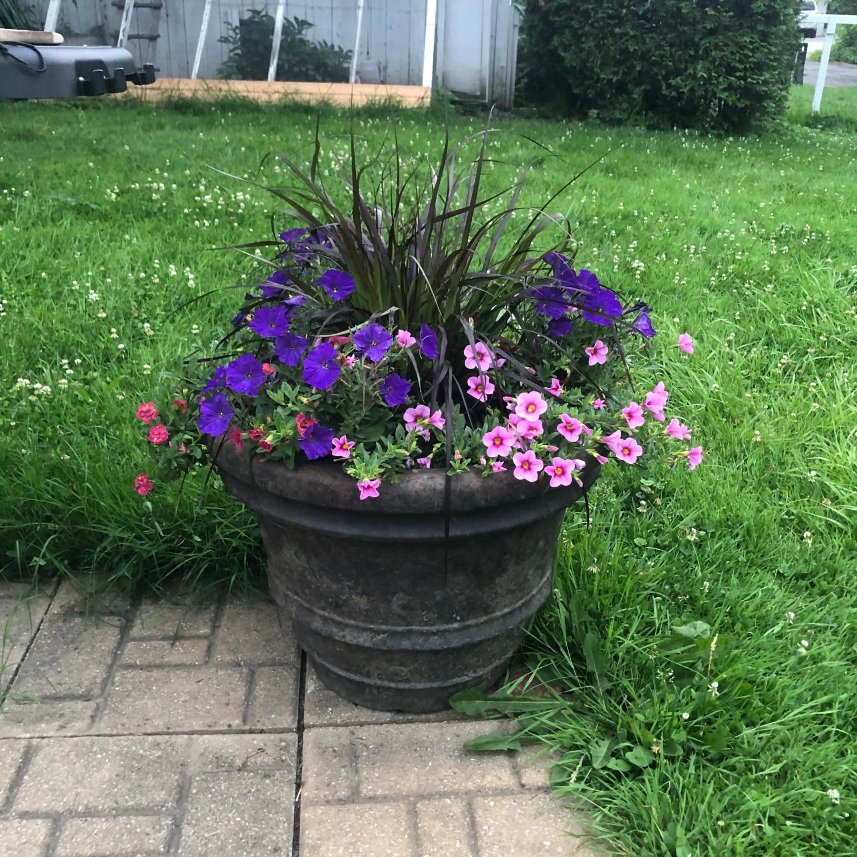 Garden in Gîte du Village - Deschambault