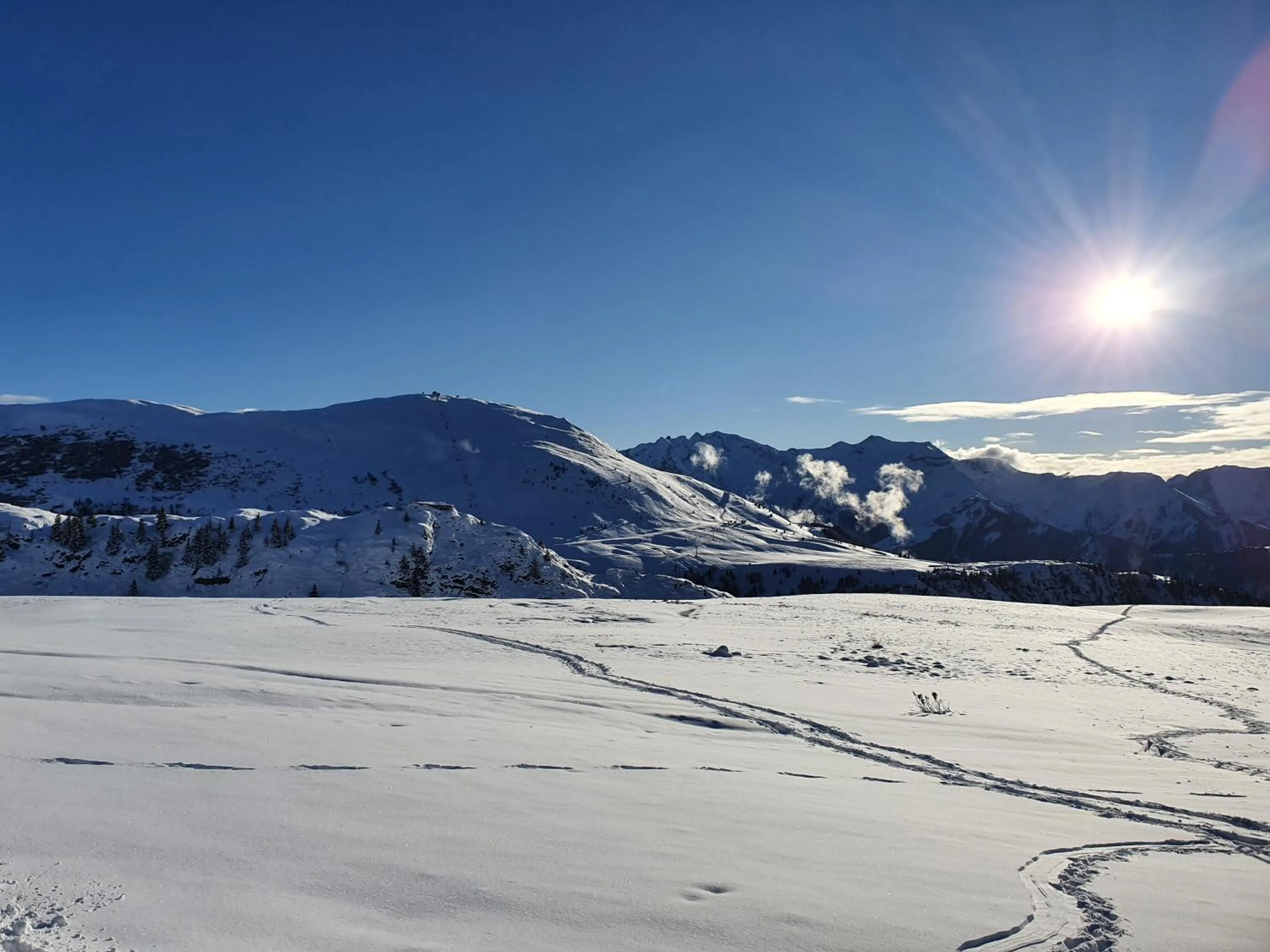 La Marmotte De La Meije