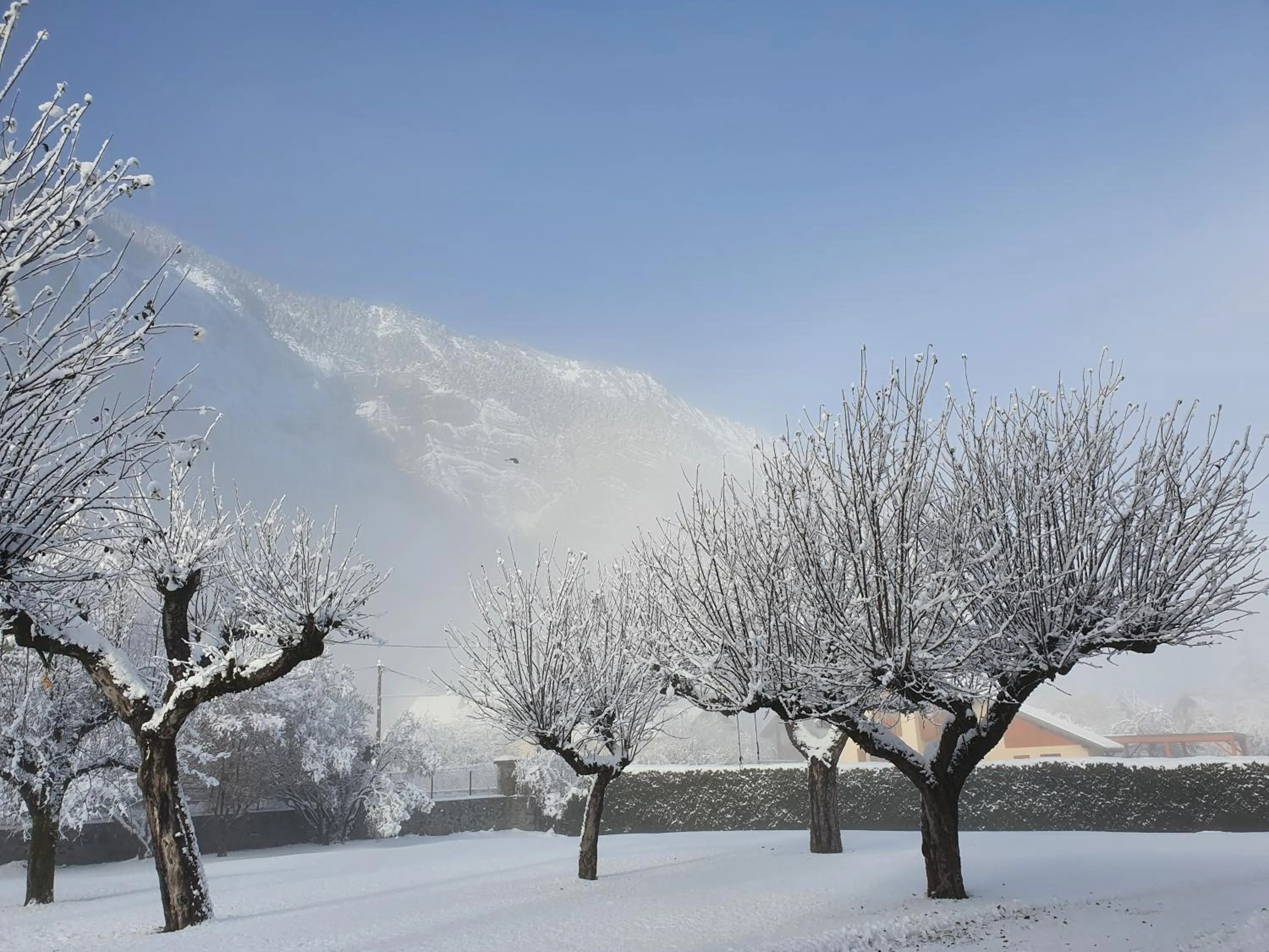La Marmotte De La Meije