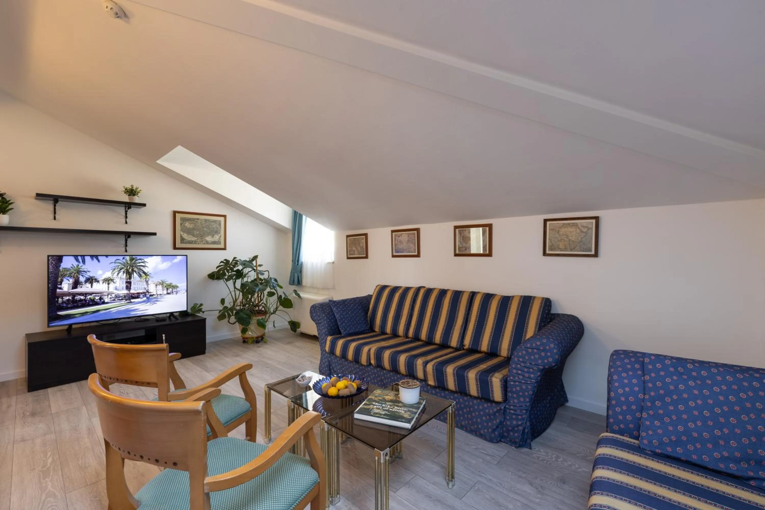 TV and multimedia in Villa Fontana