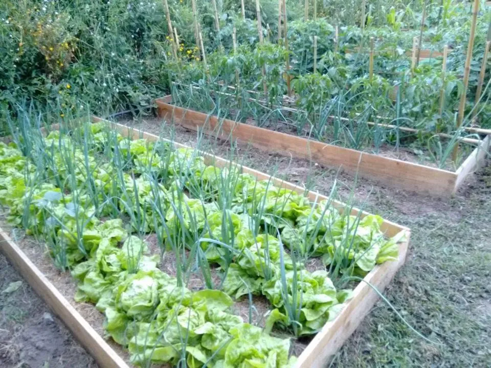 Garden in A Cantaruxa Maruxa Turismo Rural