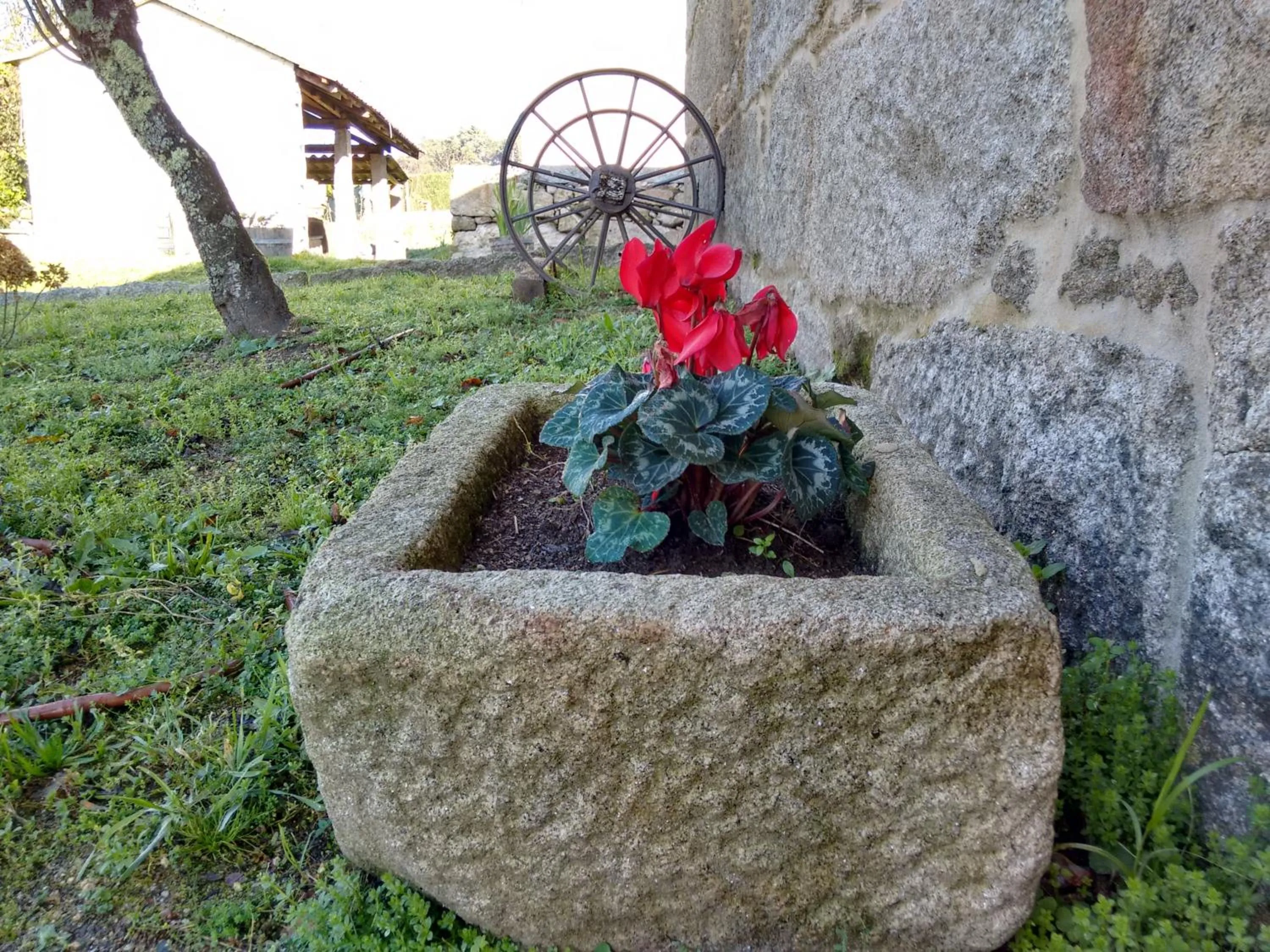 Garden in A Cantaruxa Maruxa Turismo Rural