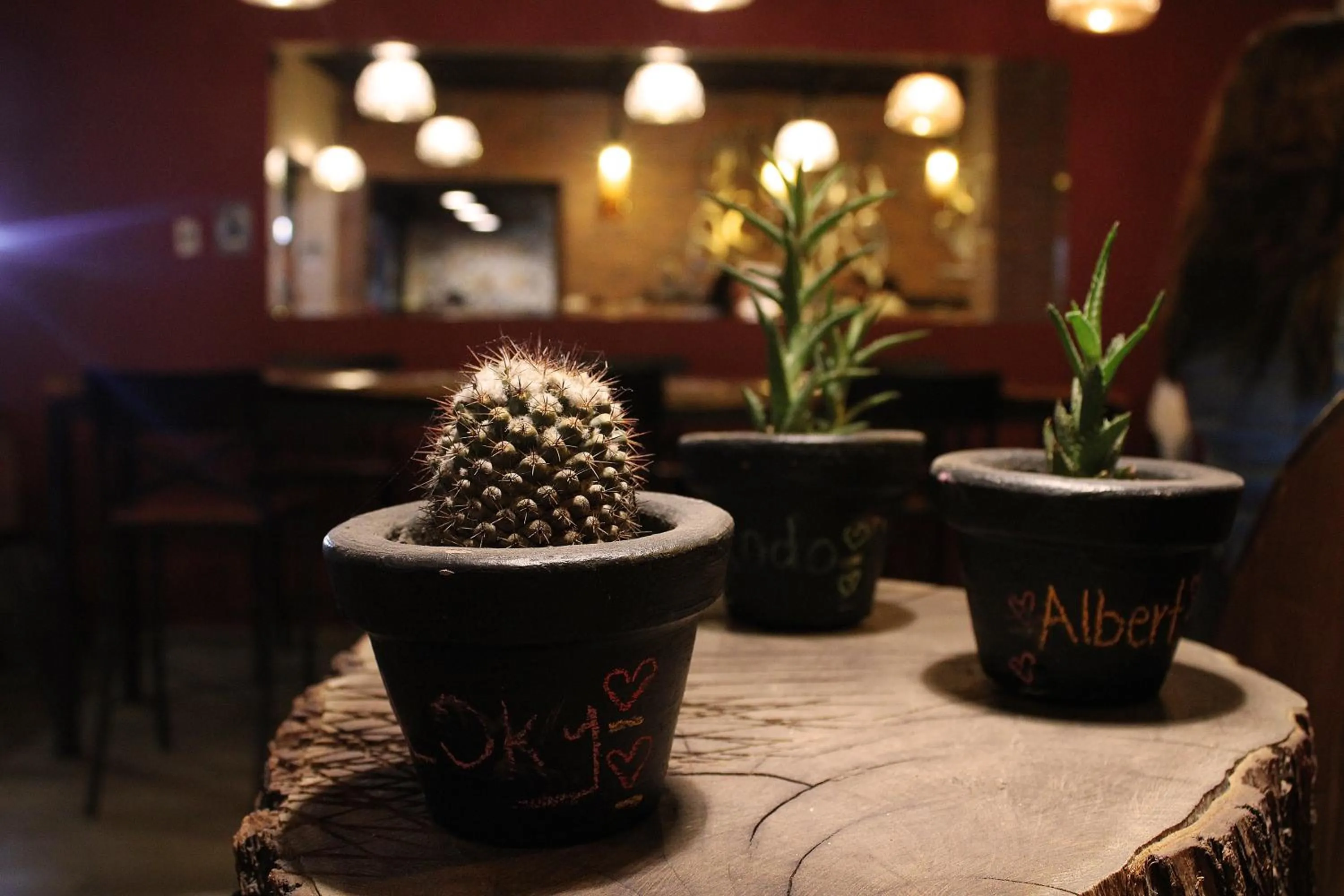 Restaurant/places to eat in Hotel Plaza Hidalgo