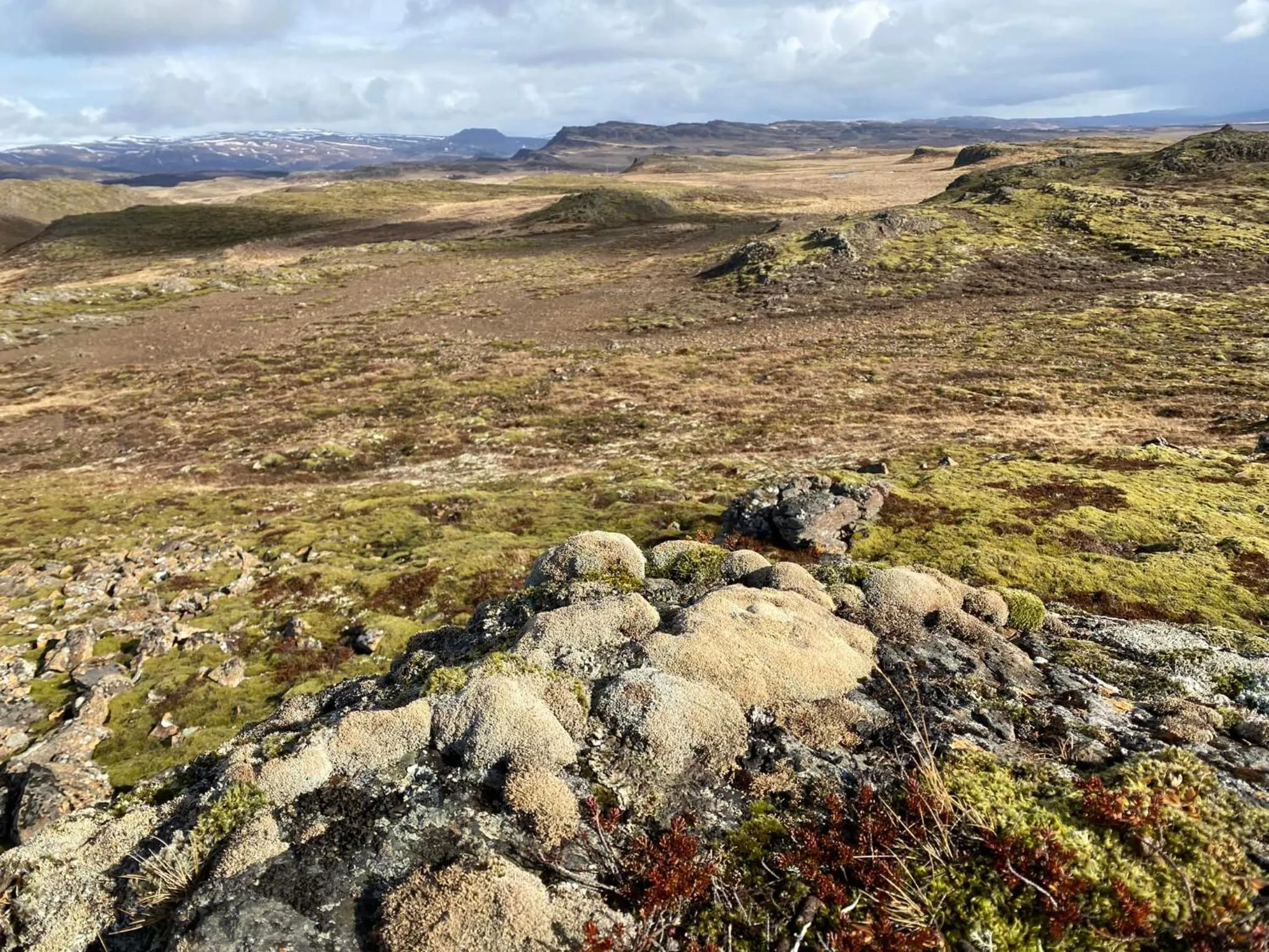 Day in Hotel Stafholt