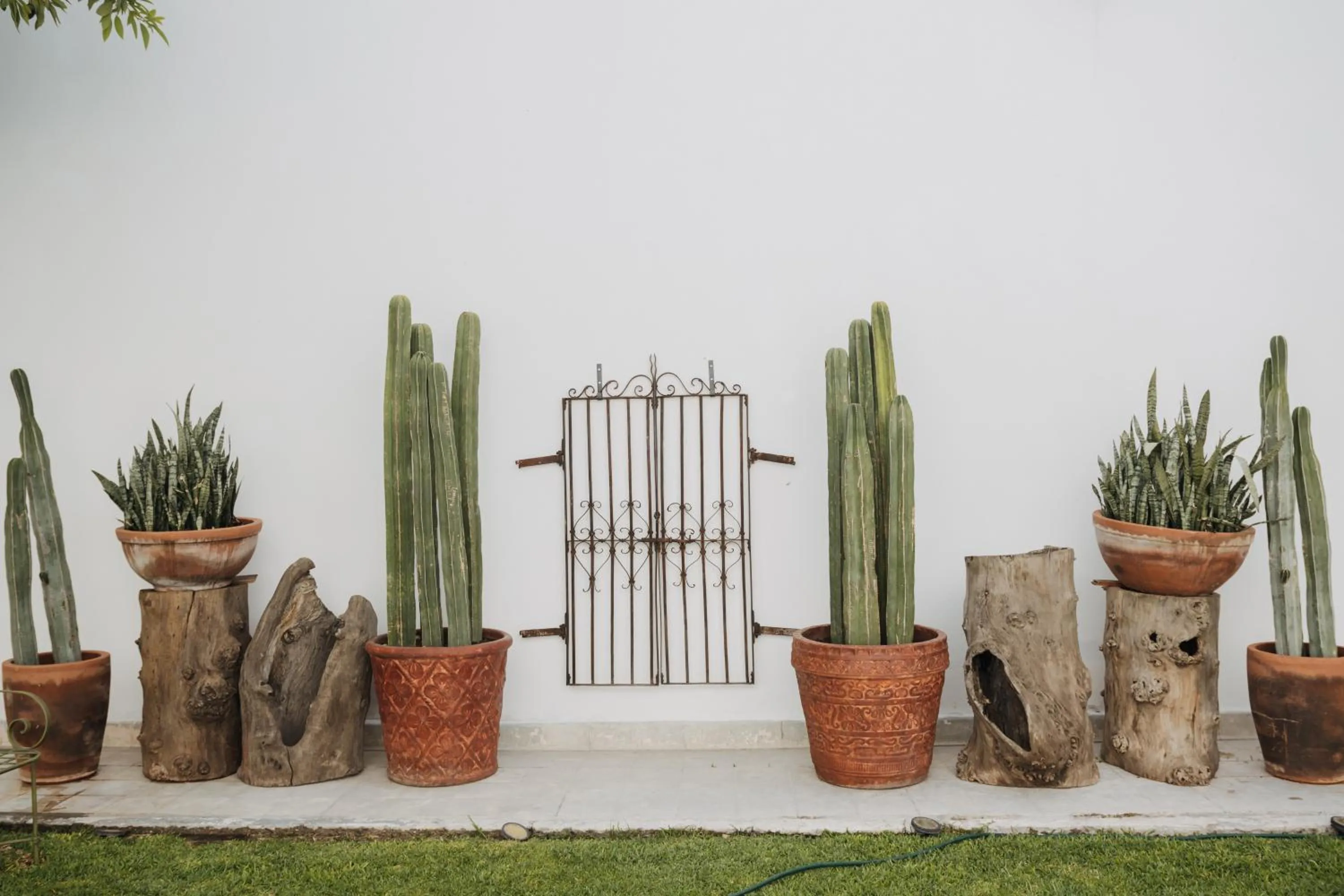 Garden in Casa Raco - Parras de la Fuente