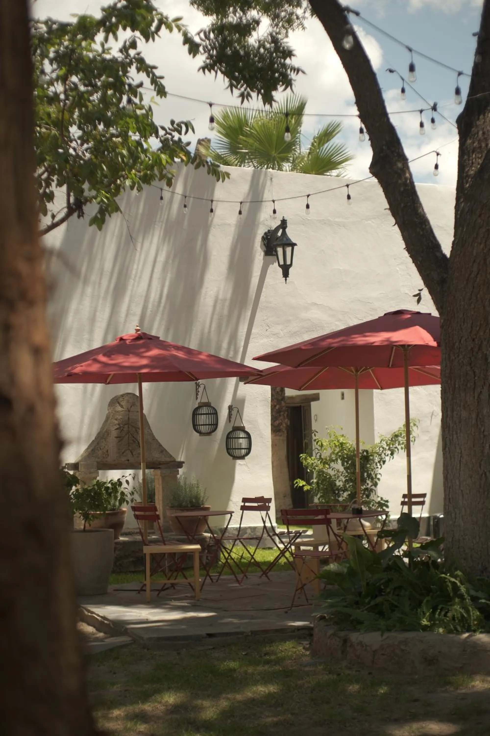 Day in Casa Raco - Parras de la Fuente